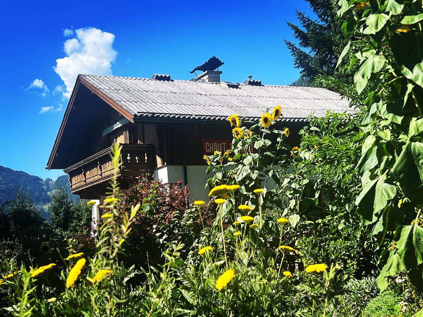 summertime und im Chalet is scheee!!! #chaletfranzi #sommer #urlaubindenbergen #sonne