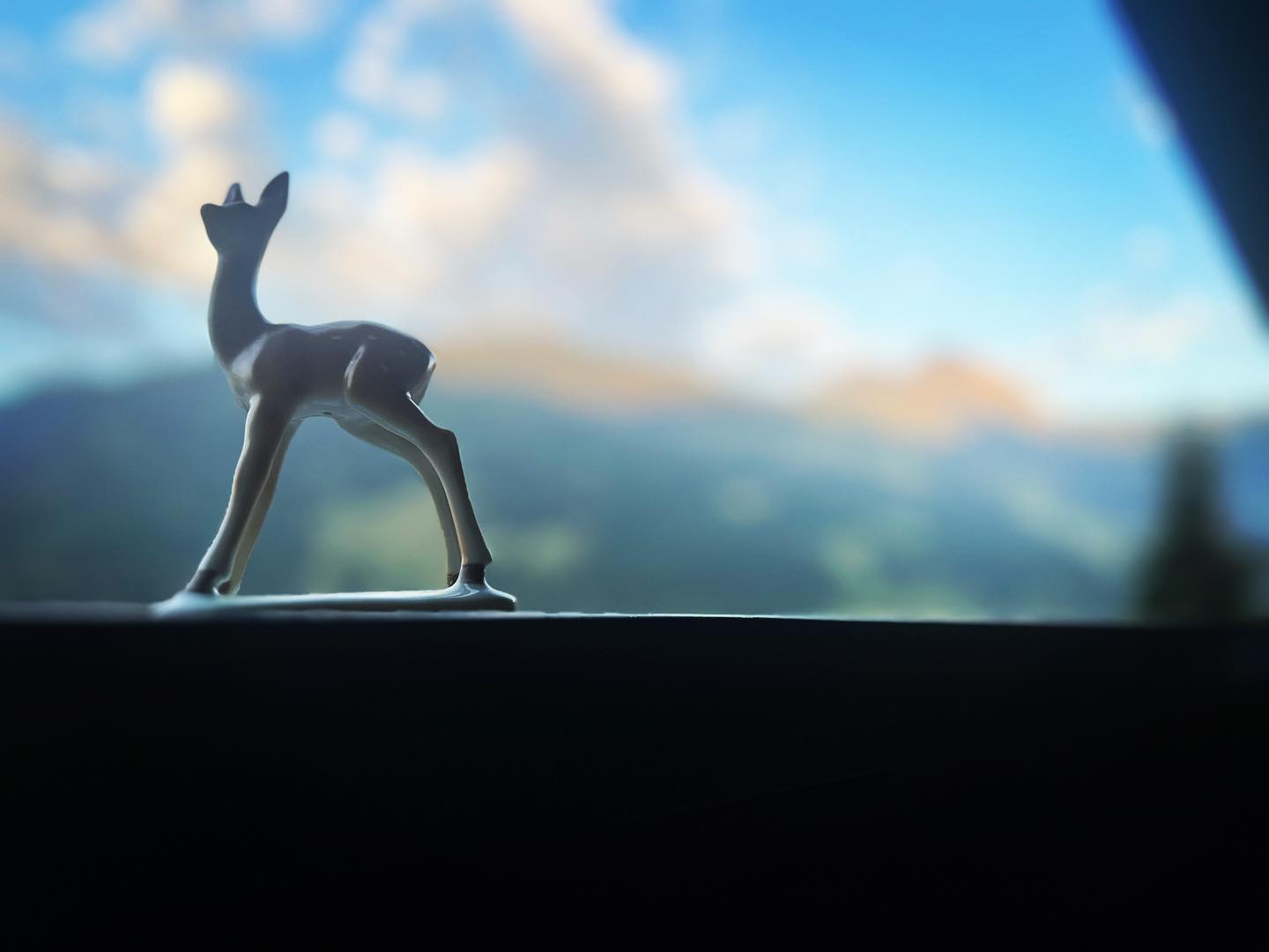 gun moagen!!!! #chaletfranzi #rehhatsscheee #ulaubindenbergen #sommer #wandern #dorfgastein #best_of_wandern #hiking #summerholidays #summerhiking #luftkurort