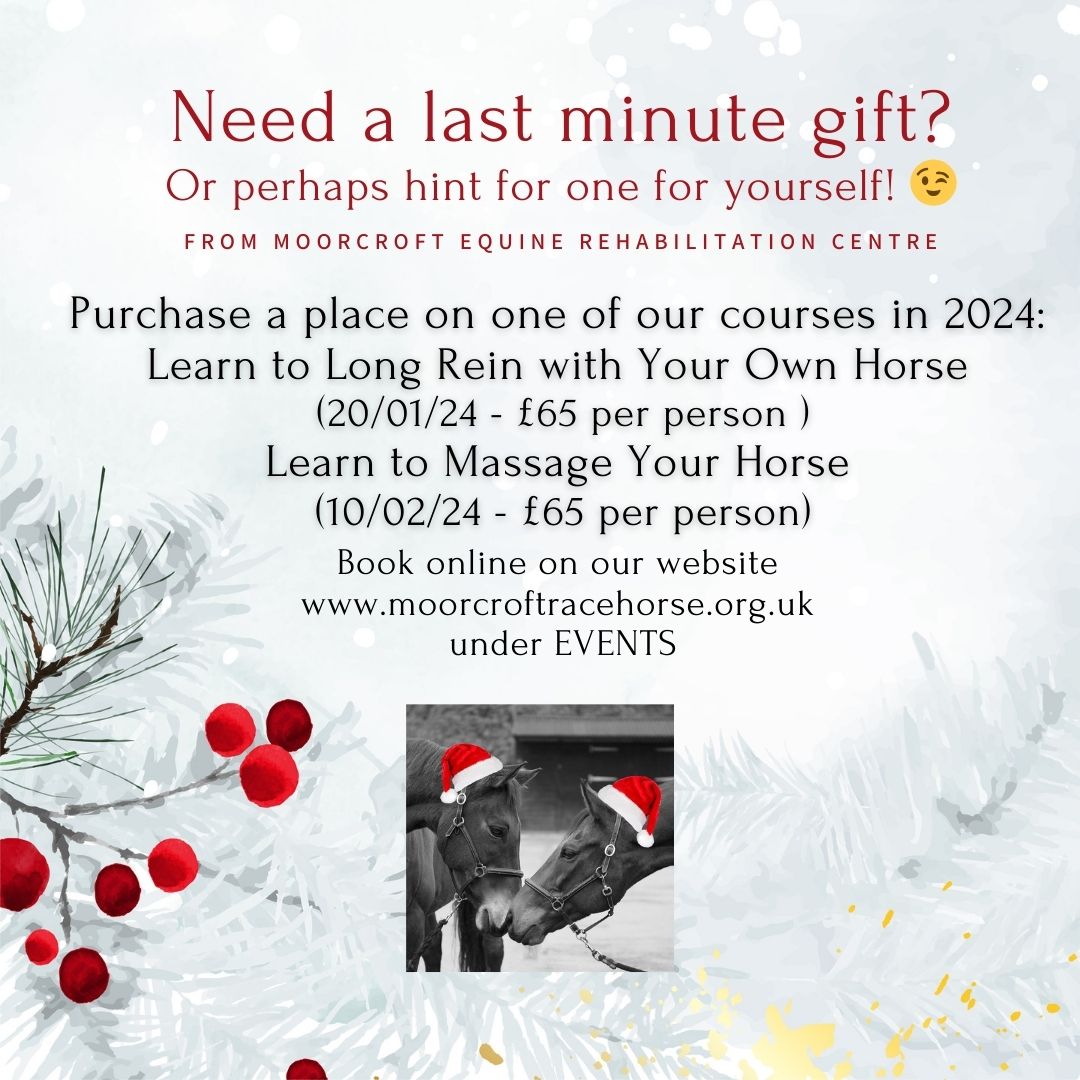 If you're looking for a last minute gift (or want to hint about one for you! ?) then booking a place on one of our courses early next year might just be the answer! Places can be booked online on our website under Events or with the following link: https://www.tickettailor.com/events/moorcroftracehorse