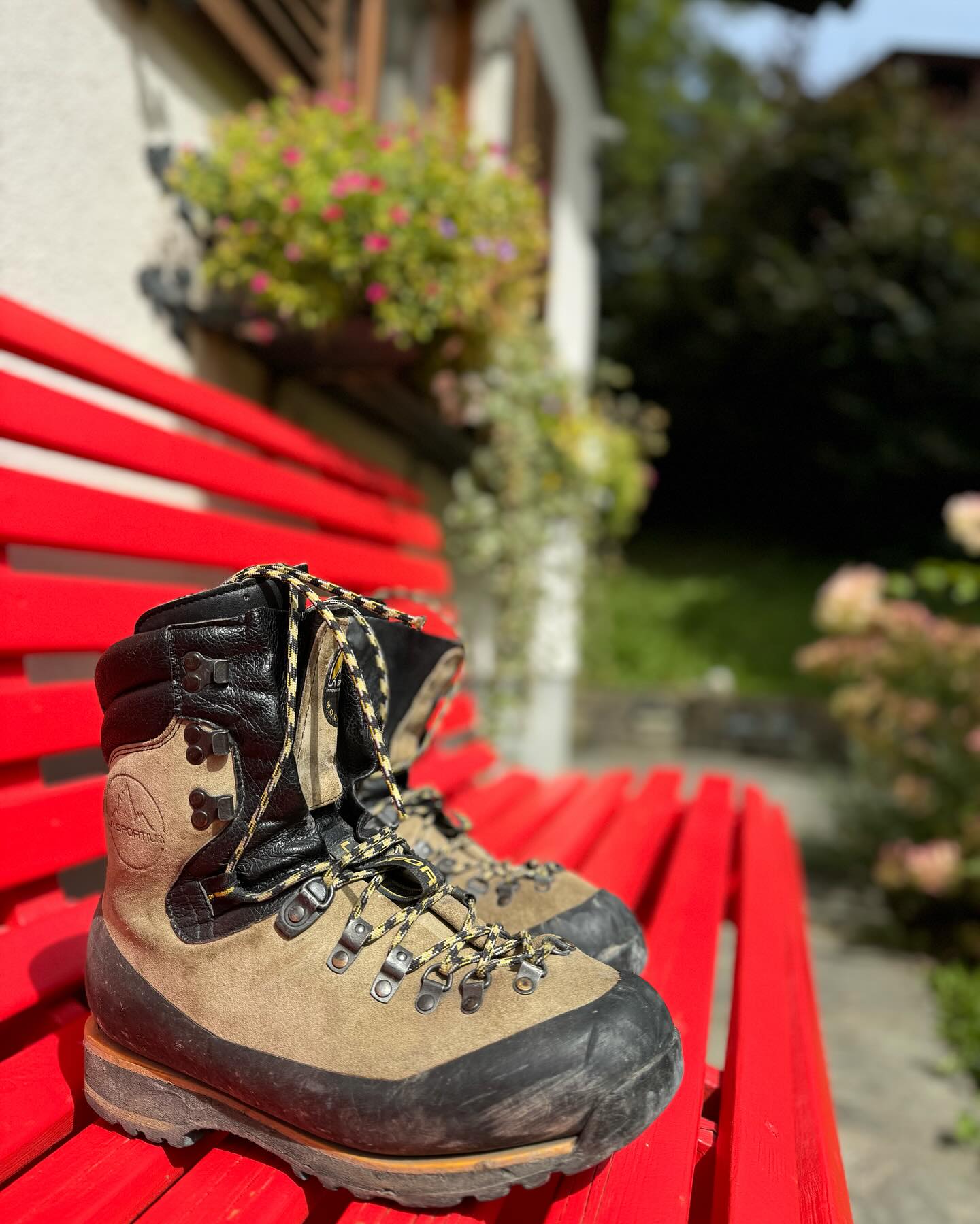 #auigongn #speckgessn #oigfolln #hingwesen