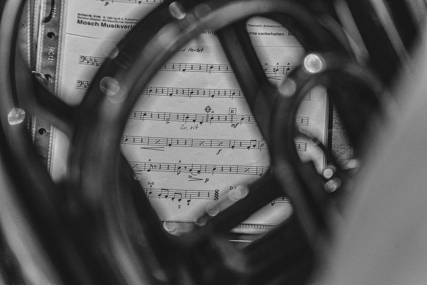 ??????? ????? ???? ??? ??? ??????? ??? @engelgauermusikanten ???????????? ????????? ??Μ????.
????? ???????? ??Μ????? ??????? ??? ??? ??Μ??????! ?? ??? ??? ???? ???? ??? ???????????? ??? ?????? ??Μ? ??? ???????? ??Μ? ???? ????????????. ?
#blasmusik #musikverein #dorfleben #engelgauermusikanten #eifel #vereinsleben #musikverbindet #engelgau #nettersheim #euskirchen #bisbaldaufwiedersehen #fotografie #nordeifel #sΓΌdeifel #vulkaneifel #ahrtal #fotografin
