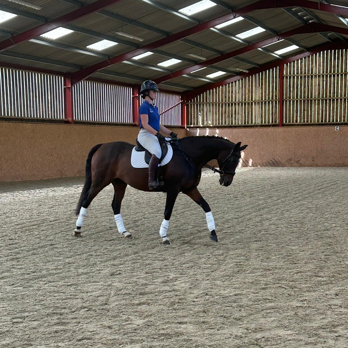 Thank you to all the BHS members who attended the event at Moorcroft yesterday. It was a great audience and we hope you enjoyed your day!