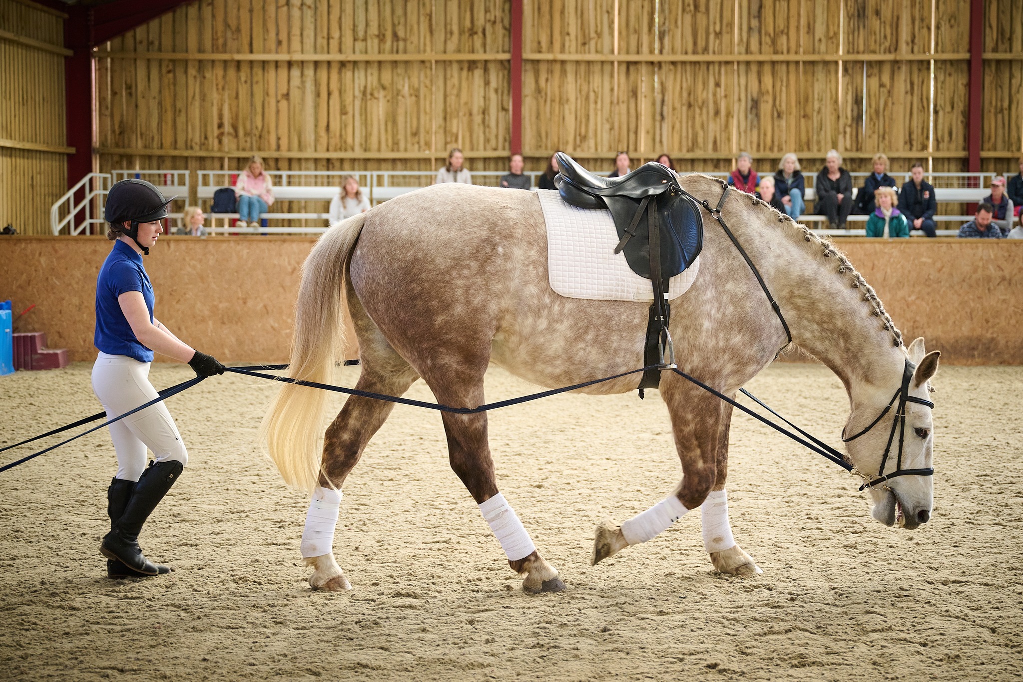 A huge thank you to @markbeaumont_photographer who has supported our charity for years and generously gives up his time to come and take wonderful photos of the horses. We are very grateful.