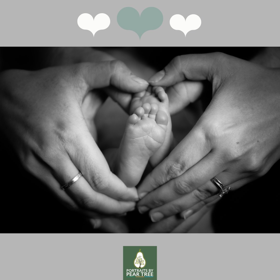 It is hard to imagine these teeny tiny feet will be up and running in less the 18 months. When little ones arrive it can feel as though you are in a weird time warp where everyday is the same. But sadly they grow up too fast and sometimes you forget how tiny they once were. It's so important to capture photos of them at certain times so you will always have them to treasure.
The best times to capture your little one are:
⭐️ Newborn session - Within the first 2 weeks of their arrival
⭐ Sitter session (can include family) - When they are sitting up unaided, usually around 6-7 months.
⭐ 1st birthday - Again can be with the whole family. We also offer Cake Smash sessions which are great fun ?
Get in touch with Lisa for more information as Studio@PortraitsbyPearTree.co.uk
.
.
.
.
.
#familyphotography #familyphotographer #familyphotoshoot #familyportraits #familyfun #photography #photographer #newborn #newbornphotography #love #happyfamily #familytime #portraitphotography #photooftheday #portraitperfection #portrait #babyphotography #lifestylephotography #baby #familygoals #familyphoto #familyportrait #hampshirephotography #hampshirephotographer #family #portraitsbypeartree #shoplocal #shopsmall #shopsmallbusiness #dance