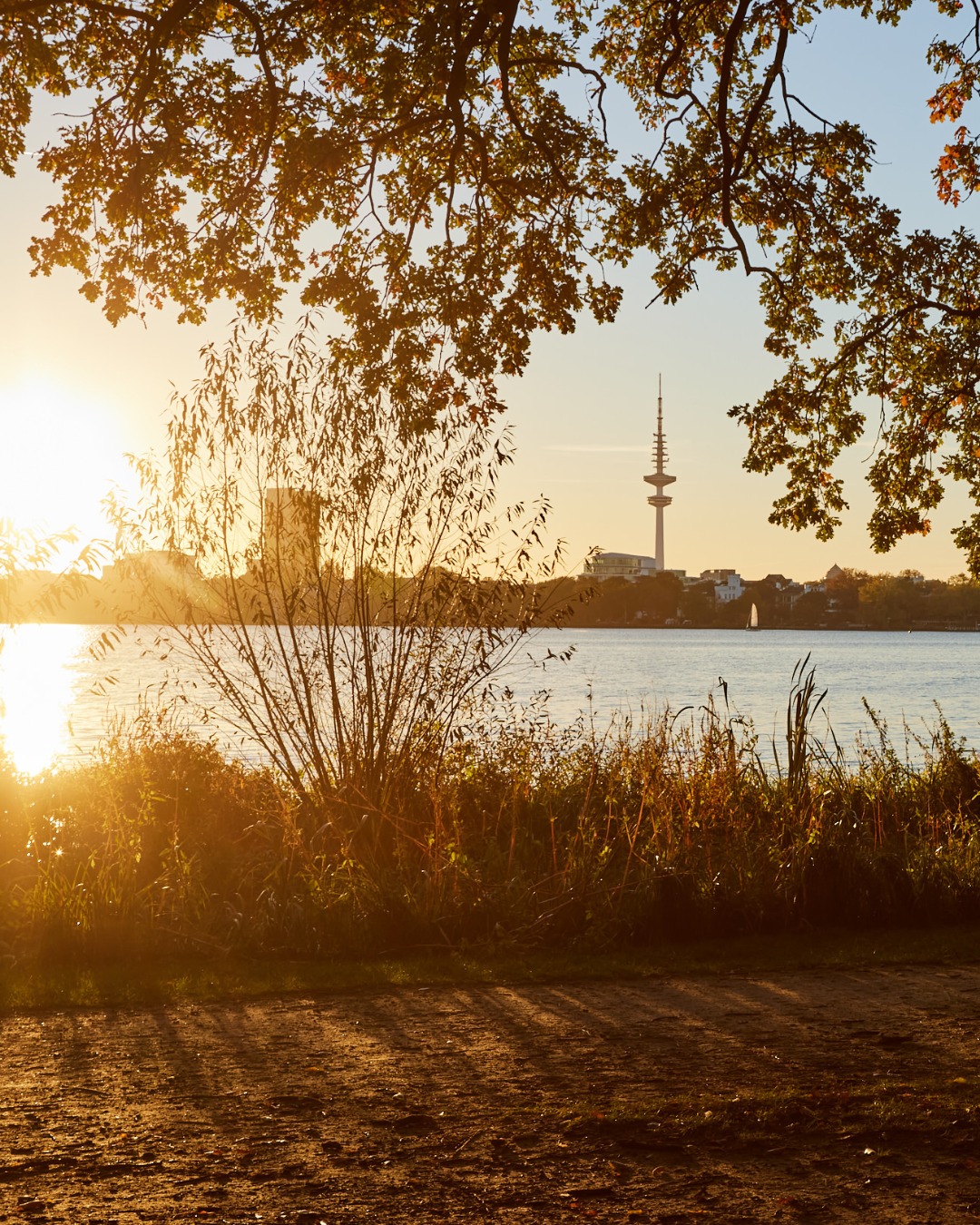 Wer St. Georg sagt, meint Vielfalt.
 
Zwischen Spaziergang zur Alster, Cappuccino-Pause auf der Langen Reihe und einem Abstecher in die Kunsthalle – hier ist alles nur ein paar Schritte entfernt.
 
Mehr entdecken, weniger suchen.
 
HAMBURG
HUB St. Georg