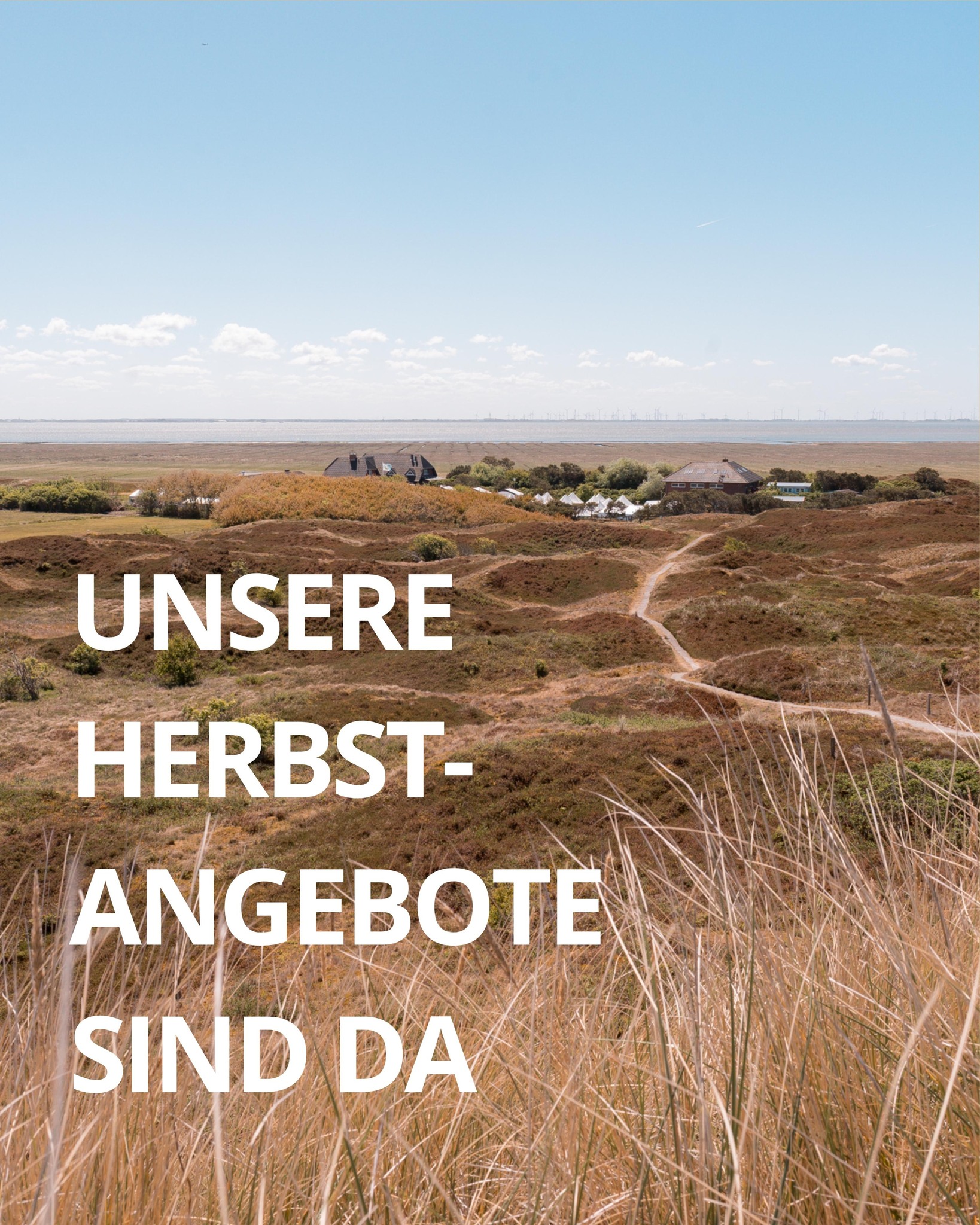 Frische Nordseeluft, gemütliche Stunden und besondere Verwöhnmomente – der Herbst auf Langeoog zeigt sich von seiner schönsten Seite. ?
Ob Wellness-Auszeit, romantische Kuscheltage, aktive Inselerkundung oder Familienwochen. Unsere Herbstangebote sind so vielfältig wie die Insel selbst.
Jetzt stöbern, Lieblingsarrangement sichern und die goldene Jahreszeit in vollen Zügen genießen!
? Den Link findest du in unserer Bio
#logierhus_langeoog #langeoog #langeoogweh #langeoogliebe #langeoogurlaub #nordseeinsel #urlaubandernordsee #hotelangebot #nordseeinseln #urlaubindeutschland