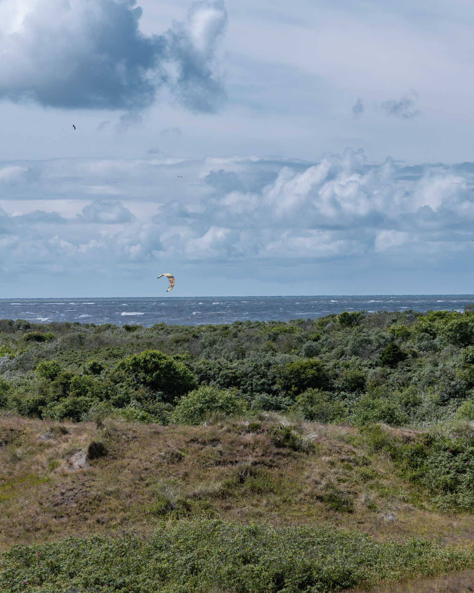 Dünen, Wind und Wellen- auf Langeoog fühlt sich Freiheit ganz natürlich an. Einfach den Blick schweifen lassen und durchatmen.
Wann warst du zuletzt richtig raus aus dem Alltag?
#logierhus_langeoog #langeoog #langeoogliebe #nordseeurlaub #langeoogurlaub #hotellangeoog #inselliebe #nordsee #wattenmeer