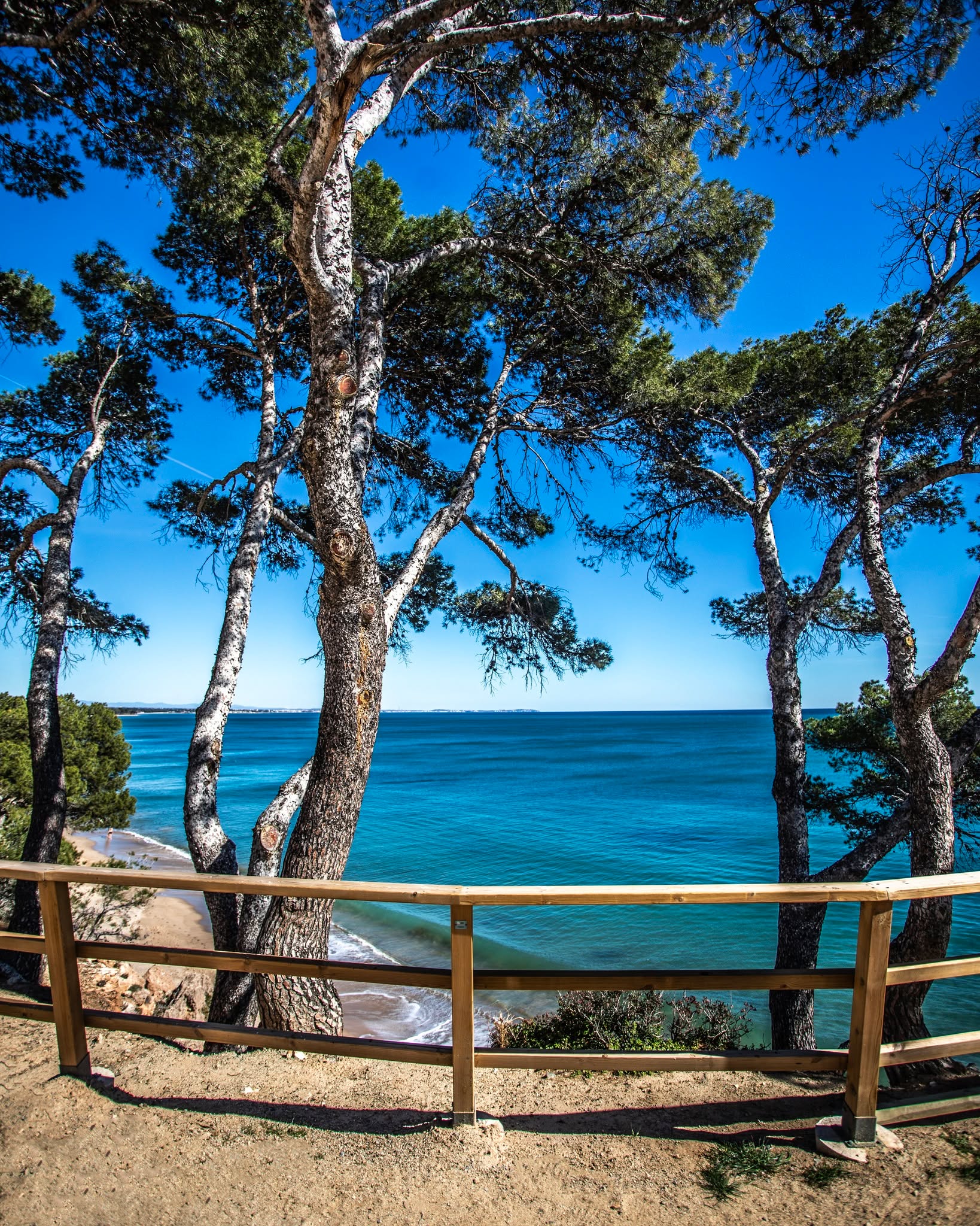 🩵 Una balconada a la Mediterrània, des del Passeig de les Cales de Miami Platja.
🇪🇸 Un balcón al Mediterráneo, desde el Passeig de les Cales de Miami Platja.
🇬🇧 A balcony overlooking the Mediterranean, from the Passeig de les Cales in Miami Platja.
🇫🇷 Un balcon sur la Méditerranée, depuis le Passeig de les Cales de Miami Platja.
#montroigmiamiturisme #miamiplatja #costadaurada #catalunyaexperience
