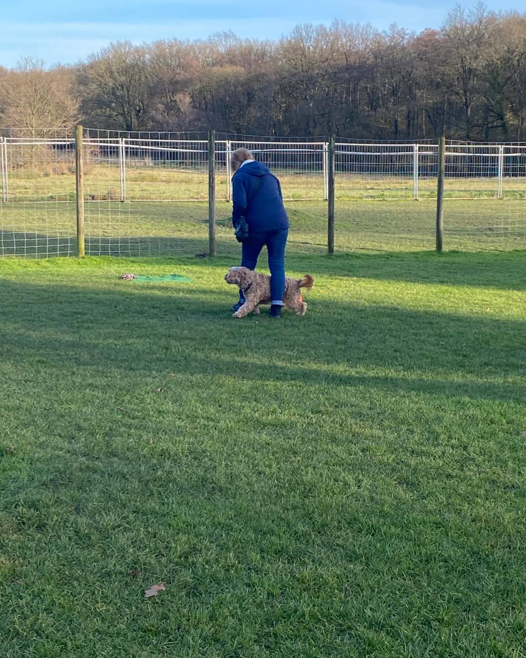 Gestern bei frühlingshaftem Wetter mal wieder draußen trainiert.
Diesmal Zirkeltraining beim SportMix
Wir haben noch viele weitere Sport- und Beschäftigungskurse im Angebot! Ruft an oder schaut mal auf unsere Homepage! #pfotencamp_dinslaken #hundetrainingdinslaken #hundeschuledinslaken #apportieren_dinslaken