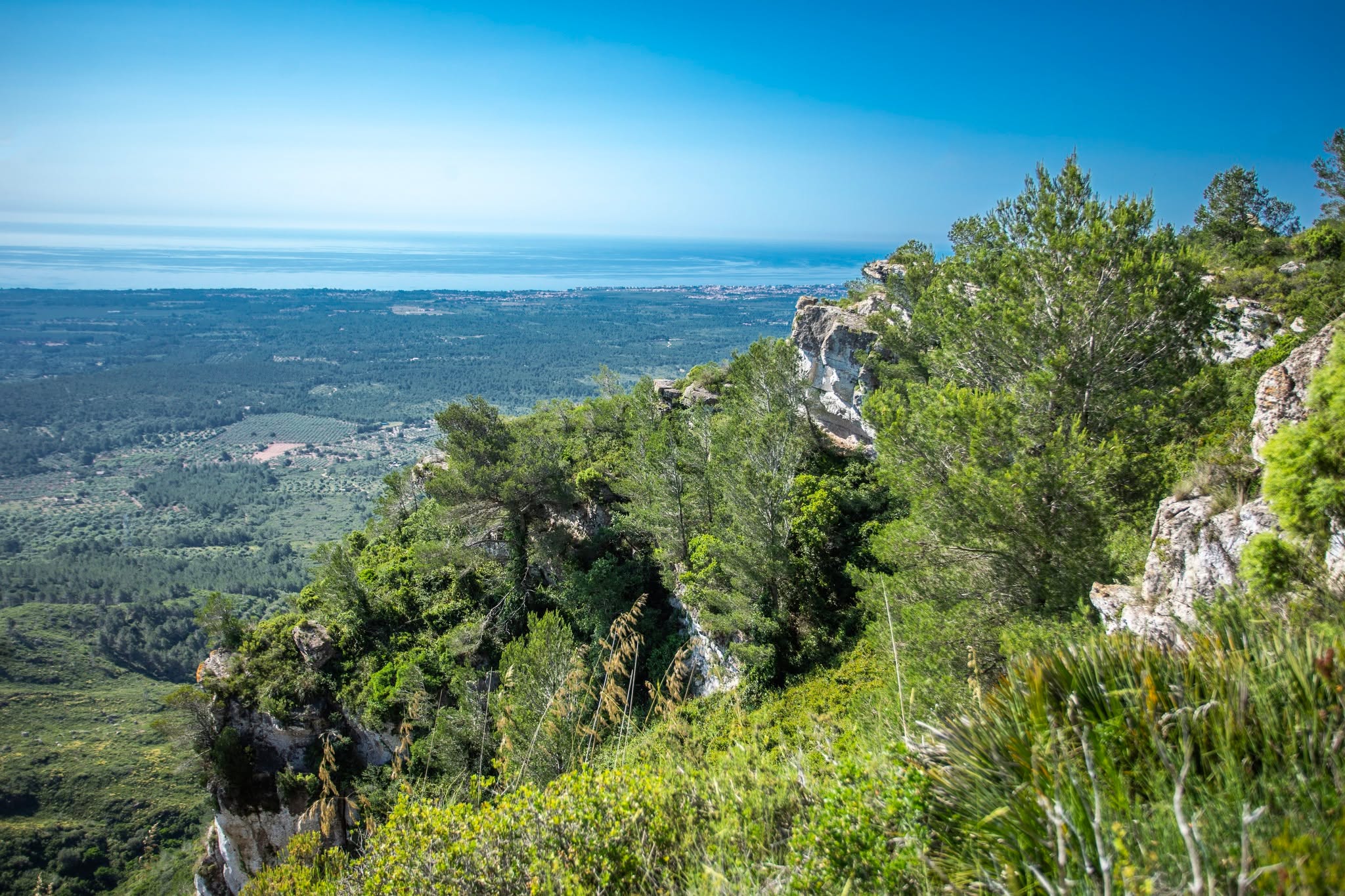 🥾 La Muntanya Blanca és una de les muntanyes menys conegudes de Mont-roig del Camp. El seu nom prové dels materials calcaris blanquinosos que la caracteritzen i, des del capdamunt, es converteix en una autèntica talaia del sud de la Costa Daurada. Una ruta molt recomanable per descobrir un dels nostres grans paisatges.🇪🇸 La Muntanya Blanca es una de las montañas menos conocidas de Mont-roig del Camp. Su nombre proviene de los materiales calcáreos blanquecinos que la caracterizan y, desde lo alto, se convierte en una auténtica atalaya del sur de la Costa Daurada. Una ruta muy recomendable para descubrir uno de nuestros grandes paisajes.🇬🇧 La Muntanya Blanca is one of the least-known mountains in Mont-roig del Camp. Its name comes from the whitish limestone materials that define it and, from the summit, it becomes a true watchtower over the southern Costa Daurada. A highly recommended route to discover one of our finest landscapes.🇫🇷 La Muntanya Blanca est l’une des montagnes les moins connues de Mont-roig del Camp. Son nom vient des matériaux calcaires blanchâtres qui la caractérisent et, depuis son sommet, elle devient un véritable belvédère sur le sud de la Costa Daurada. Un itinéraire vivement recommandé pour découvrir l’un de nos plus beaux paysages.#montroigmiamiturisme #miamiplatja #costadaurada #catalunyaexperience