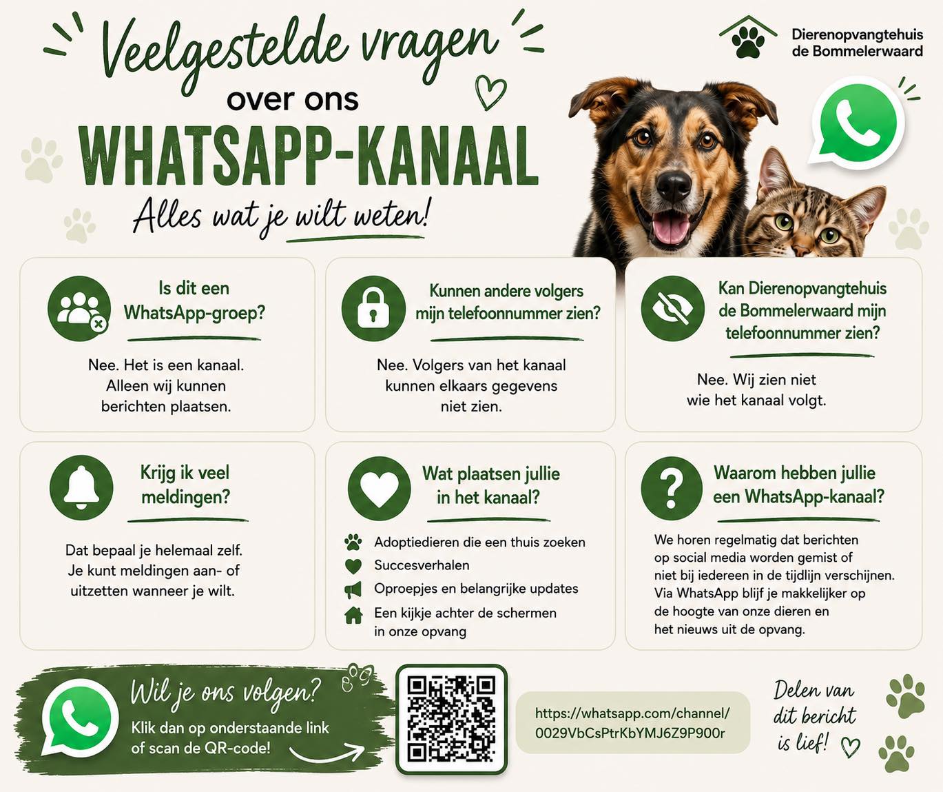 📱 Ons WhatsApp-kanaal bestaat inmiddels even en we merken dat er nog regelmatig vragen over zijn. Daarom zetten we de meestgestelde vragen op een rijtje. 😊
❓ Is dit een WhatsApp-groep?
Nee. Het is een kanaal. Alleen wij kunnen berichten plaatsen.
❓ Kunnen andere volgers mijn telefoonnummer zien?
Nee. Volgers van het kanaal kunnen elkaars gegevens niet zien.
❓ Kan Dierenopvangtehuis de Bommelerwaard mijn telefoonnummer zien?
Nee. Wij zien niet wie het kanaal volgt.
❓ Krijg ik veel meldingen?
Dat bepaal je helemaal zelf. Je kunt meldingen aan- of uitzetten wanneer je wilt.
❓ Wat plaatsen jullie in het kanaal?
🐶 Adoptiedieren die een thuis zoeken
🐱 Succesverhalen
📣 Oproepjes en belangrijke updates
🏡 Een kijkje achter de schermen in onze opvang
❓ Waarom hebben jullie een WhatsApp-kanaal?
We horen regelmatig dat berichten op social media worden gemist of niet bij iedereen in de tijdlijn verschijnen. Via WhatsApp blijf je makkelijker op de hoogte van onze dieren en het nieuws uit de opvang.
Wil je ons volgen? Check de link in onze bio!
https://whatsapp.com/channel/0029VbCsPtrKbYMJ6Z9P900r
Heb je nog een andere vraag over ons WhatsApp-kanaal? Stel hem gerust hieronder. ⬇️
Delen van dit bericht vinden we lief. ❤️🐾
#whatsappkanaal #volgons #dierenopvangtehuis #bommelerwaard #bruchem