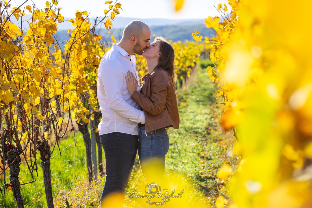 ~??⛅~
-
La saison automnale est vraiment ma saison préférée ? voir les belles déclinaisons de couleur orangée avec en plus le soleil qui nous accompagne, est un pur bonheur ☀️.
-
Petite séance couple dans les vignes avec @wild_tiffany & @jeremielelieur accompagnés de Sansa ??
-
-
-
#autumn #colorful #couleurdautomne #naturelovers #love #happylovers #shootingcouple #couplephoyography #couplephotographer #dog #dogoftheday #doglover #chien #chienheureux #animals #shooting #photography #photographer #vigne #automne #ballade #amour #amoureux #alsace #france