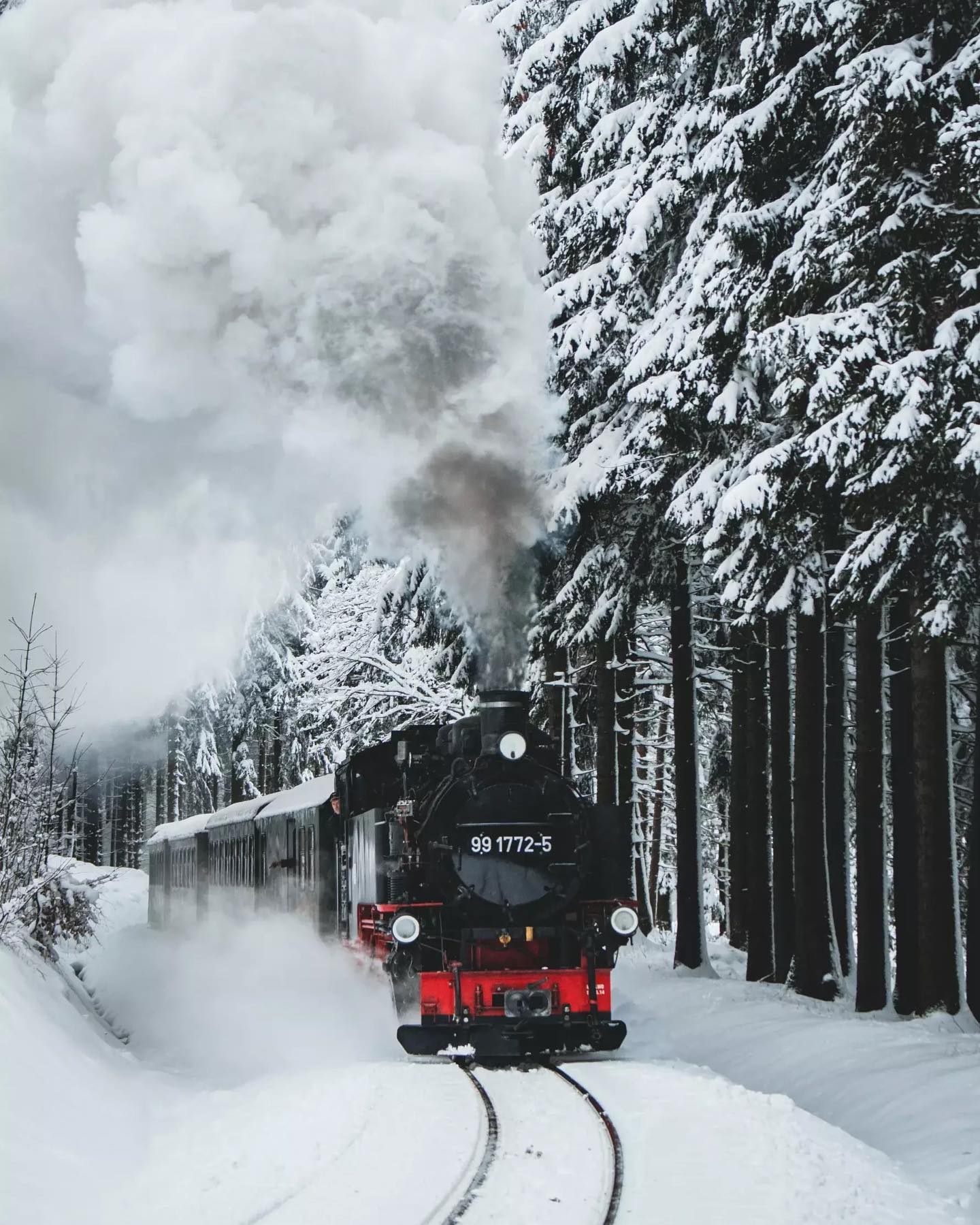 Wir haben die besten Tipps für Chemnitz und Umgebung im Winter ❄️ ⛄️ Den Link finden Sie in unserem Linktree ?
#chemnitz #chemnitzartig #erzgebirge #winterwonderland #erzgebirge_erleben #winterof56
?: Tourismusverband Erzgebirge e.V. / Patrick Eichler, Greg Snell / Wolfgang Schmidt