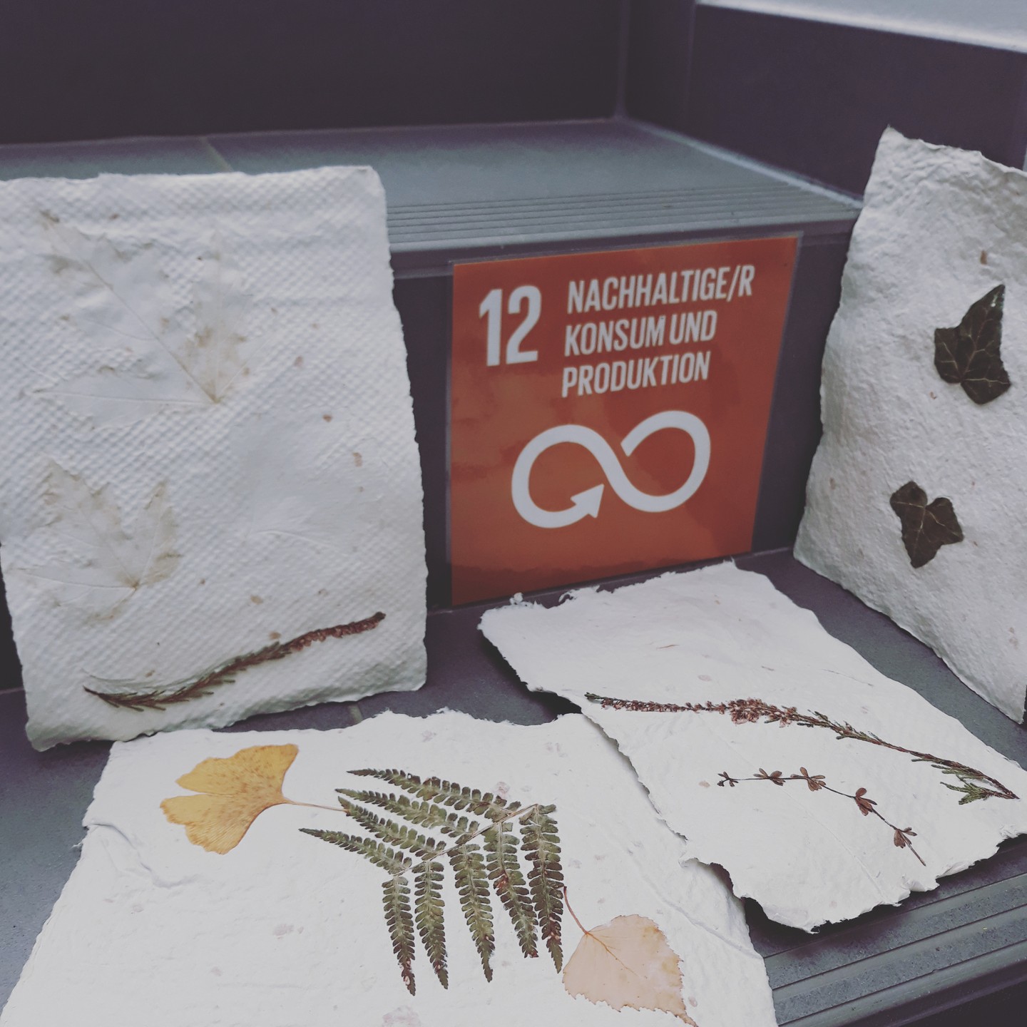 ? Mehr Natur für Kinderorte ?
? In der Fortbildung