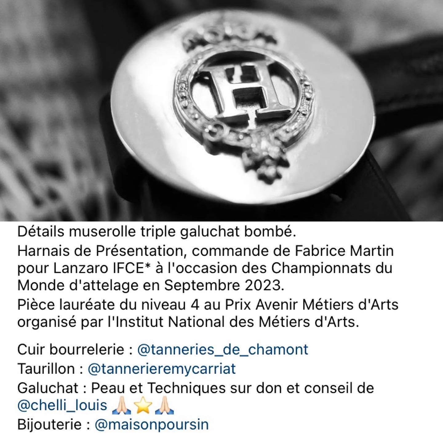 #maisonPoursin #studio_gauche #lesharasdupin #cocarde #savoirfaire #harnachement #Poursin1828 #quandl’histoireseconjugueaupresentetaufutur #passionlaiton