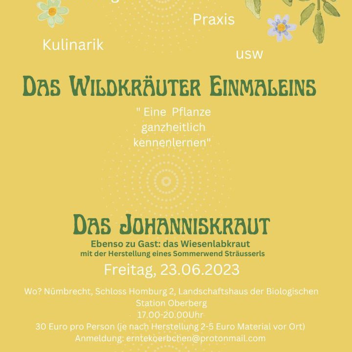Kennt Ihr das, nach einer Kräuterwanderung habt Ihr viele Pflanzen kennengelernt und doch bleibt zu wenig hängen? Die Kräuterfachfrau Jasmin Dziemba stellt euch das Wildkräuter Einmaleins im Jahresverlauf vor. Ihr habt die Möglichkeit, eine Pflanze rundum zu betrachten: botanisch, geschichtlich, sinnlich & praktisch. Es gibt immer eine weitere Gastpflanze, die mit an der Veranstaltung teilnimmt. Passend zu einem Wildkraut gibt es etwas Selbsthergestelltes zum mit nach Hause nehmen oder vor Ort zum probieren.
? Am 23. Juni geht es um das JOHANNISKRAUT & als Gast das WIESENLABKRAUT ?
In Kooperation mit der BAK
? 30,- € p. Person, zzgl. 2-5 € Materialkosten vor Ort)
? Landschaftshaus der BSO, Nümbrecht
? Anmeldung unter: erntekoerbchen@protonmail.com