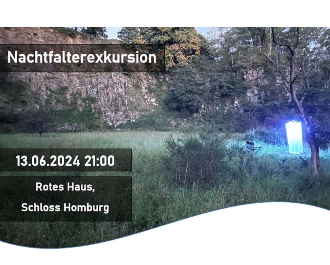 Die relativ unbekannte, jedoch größte Artengruppe der Schmetterlinge sind Nachtfalter ?. Da diese ? nachts nur schwer zu entdecken sind bedient man sich unter anderem des Anlockens durch Lichtinseln mit den sogenannten „Leuchttürmen“ für eine bessere Sichtung und Kartierung.
Nach einer kurzen Einführung durch unseren Experten für Tag- und Nachtfalter Bernd Bergmann tauchen wir ab in die Dämmerung von Schloss Homburg. Bernd Bergmann bleibt bis in die späten Abendstunden, um alle gefundenen Falter zu notieren.
Entscheiden Sie selbst, wie lange Sie sich fesseln lassen.
Sonstiges: Taschenlampe mitbringen und dunkle Kleidung tragen #Nachtfalter #bakbneregionalzentrum #bne