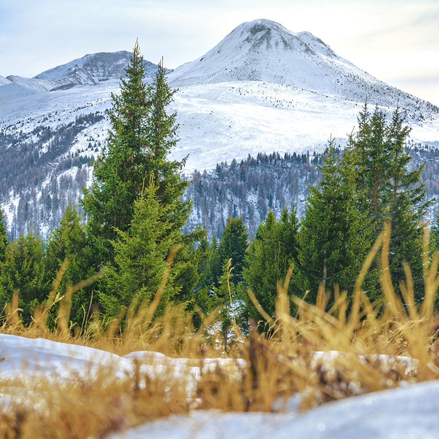 Meine ❤️-Heimat Mutten und Graubünden in der Übergangszeit zwischen Spätherbst und Winter … ?
#graubünden #naturelovers #derwinternaht