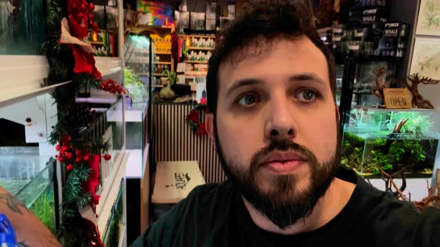 Feliz año nuevo gente!
Muchas gracias por este año tan movido de trabajo, gracias por querer compartir con nosotros otro año más, porque sin vosotros Aquasalvaje no es nada.
Nos espera un año csrgadito de proyectos, de mejoras tanto en la tienda como en la web, y todo por poder brindaros cada día un servicio mejor.
Por este año y muchos más con vosotros ?
〰️〰️〰️〰️〰️〰️〰️〰️〰️
✅Trabajando duro cada día para ser vuestra mejor opción
〰️〰️〰️〰️〰️〰️〰️〰️〰️
?Plaza La Constitución, 3 Alcorcón
〰️〰️〰️〰️〰️〰️〰️〰️〰️
? www.aquasalvaje.com
〰️〰️〰️〰️〰️〰️〰️〰️〰️
#aquasalvaje #aquarium #madrid #alcorcon #aquascaping #aquascape #aquariumdesign #acuarioplantado #aquariumhobby #aquascaper #acuario #acuarios #acuariofilia #peces #pecestropicales
