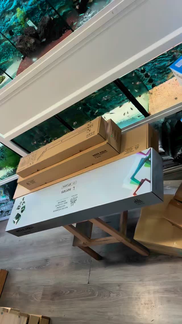 Reposición semanal?? Un poquito de todo, Seachem, Aquavitro, Week Aqua, Easy Reefs…
〰️〰️〰️〰️〰️
✅ Trabajando duro cada día para ser tu mejor opción
〰️〰️〰️〰️〰️
?Plaza La Constitución 3, Alcorcón.
〰️〰️〰️〰️〰️
? www.aquasalvaje.com
〰️〰️〰️〰️〰️
#aquasalvaje #aquarium #madrid #alcorcon #aquascaping #aquascape #aquariumdesign #acuarioplantado #aquariumhobby #aquascaper #acuario #plantasacuario #acuarios #acuariosmarinos #acuariofilia #acuariofiliaespaña #acuariofiliamadrid