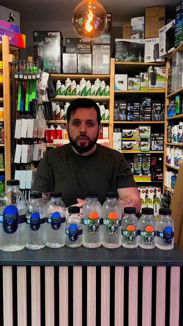 Todos los miércoles tenemos llegada de alimento Vivo, de cultivo súper controlado y de la mejor calidad @poweraquaculture .
〰️〰️〰️〰️〰️〰️〰️〰️〰️
✅ Trabajando Duro para ser tu mejor opción
〰️〰️〰️〰️〰️〰️〰️〰️〰️
? Plaza La Constitución 3, Alcorcón, Madrid.
〰️〰️〰️〰️〰️〰️〰️〰️〰️
? www.aquasalvaje.com
〰️〰️〰️〰️〰️〰️〰️〰️〰️
#aquasalvaje #aquarium #madrid #alcorcon #aquascaping #aquascape #aquariumdesign #acuarioplantado #aquariumhobby #aquascaper #acuario #acuariofilia #acuariomarino #acuariofiliamadrid #acuariofiliaespaña #aquariumnature #desing #nature