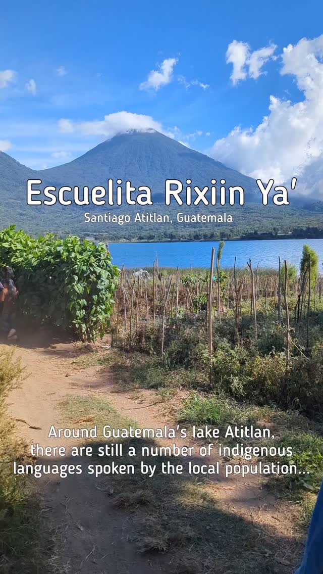? - Español
? - English
This year, we want our Escuelita Rixiin Ya' project to reach more people - Watch to the end of the video to find out how your school/university (or even just yourself) could help to support this project!