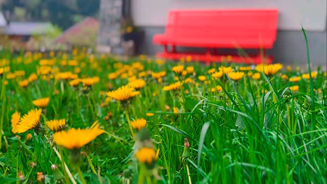 Springvibes im Chalet Franzi. #urlaubingastein #crispair #chaletfranzi #imchaletisschee #urlaubindenbergen #dorfgastein #gastein #visitgastein