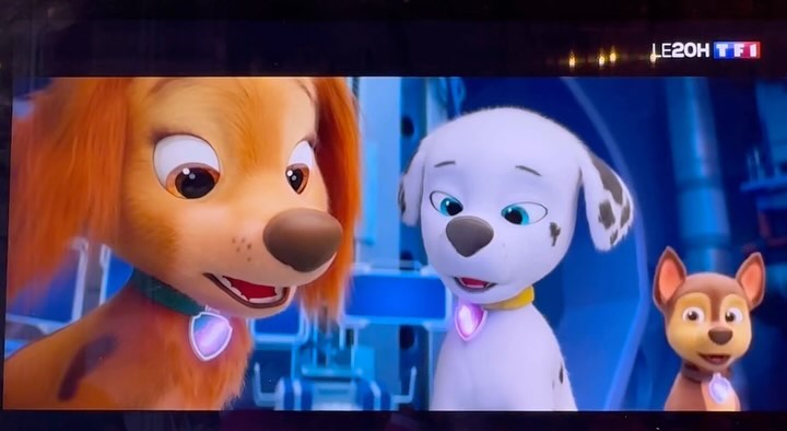 Et vous ? Votre Noël ? ? ? Il sera #Patpatrouille ? Vous avez vu le film ? ? ? ?
