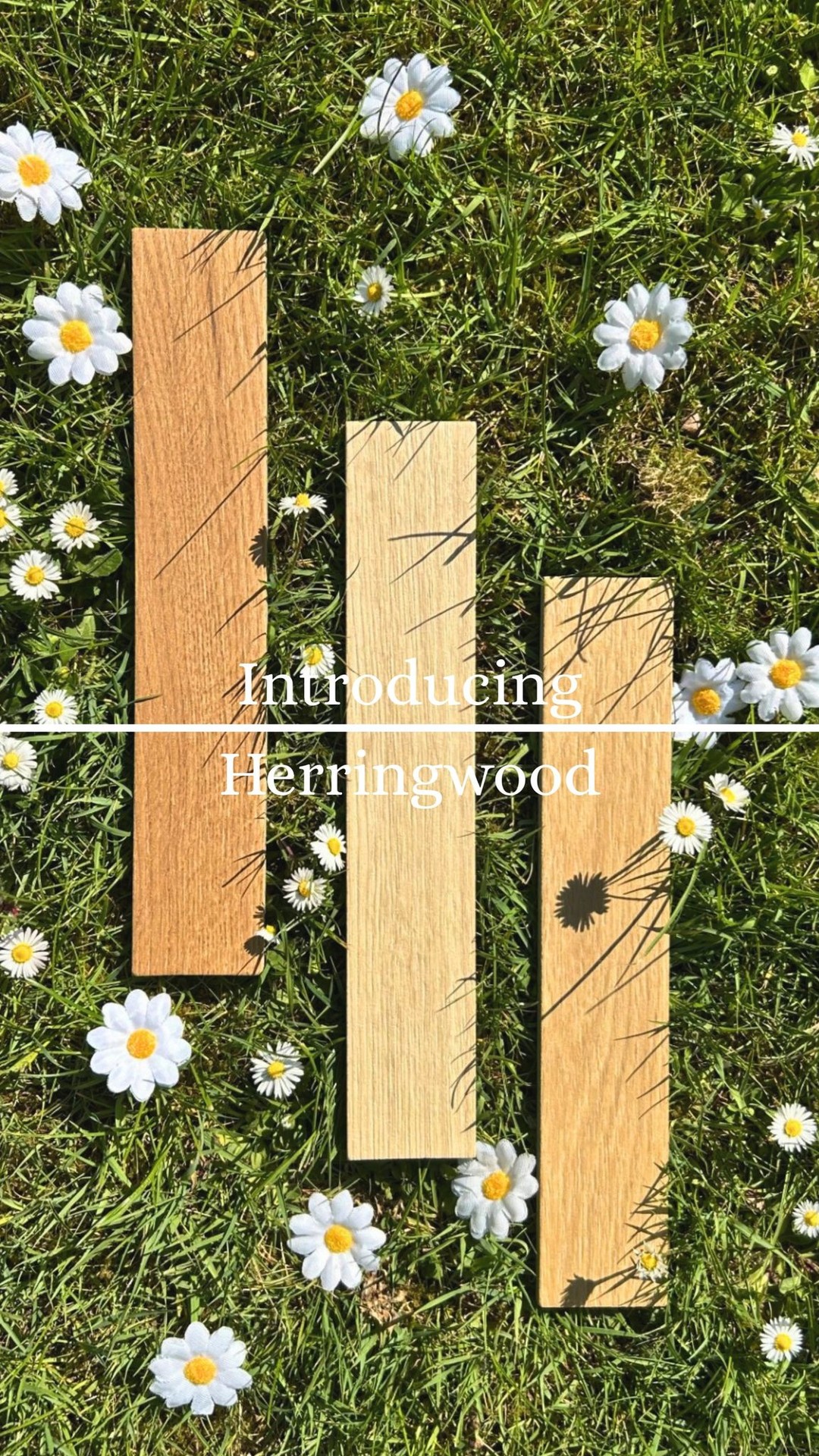 What better way to celebrate the bank holiday than with something beautiful and new? ?
Meet Herringwood, our stunning wood effect tile range that brings warmth, movement, and timeless detail to any space. Perfect for floors that deserve a little extra style.
Available in classic oak tones with that signature herringbone pattern you know and love.
#ArchiTile #BankHolidayInspo #Herringwood #WoodLookTiles #InteriorInspo #TileGoals #WeekendVibes #TileDesign #BathroomInspo #hallwaygoals