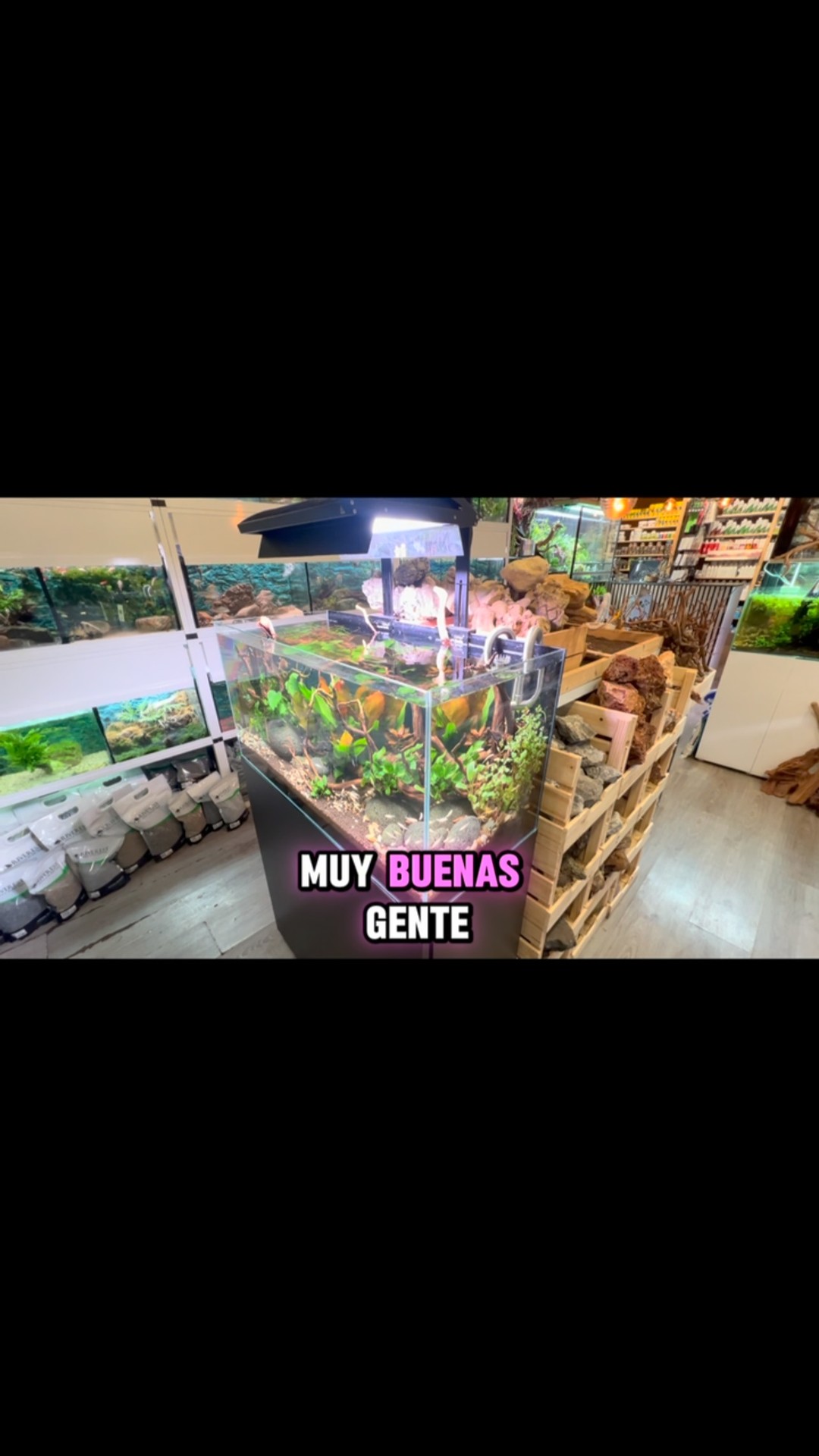 Cargados de Decoración Natural para vuestros Acuarios ?
〰️〰️〰️〰️〰️〰️
✅ Trabajando duro para ser tu mejor opción.
〰️〰️〰️〰️〰️〰️
?Plaza La Constitución 3, Alcorcón
〰️〰️〰️〰️〰️〰️
? www.aquasalvaje.com
〰️〰️〰️〰️〰️〰️
#aquasalvaje #aquarium #madrid #alcorcon #aquascaping #aquascape #aquariumdesign #acuarioplantado #aquariumhobby #aquascaper #acuario #acuariofilia #peces #pecestropicales #decoracion #decoracionnatural