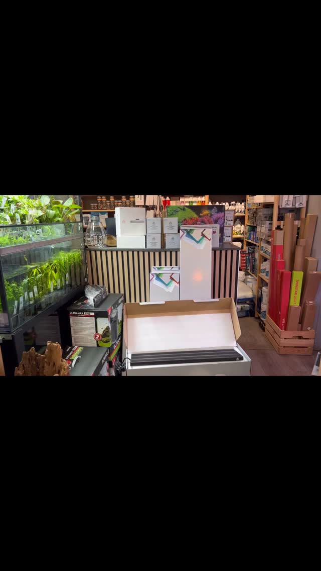 Ya vamos recibiendo week Aqua! Atent@s, en los próximos días os enseñaremos novedades y mejoras de la marca.
〰️〰️〰️〰️〰️
✅Trabajando duro para ser tu mejor opción.
〰️〰️〰️〰️〰️
? Plaza La Constitución 3, Alcorcón
〰️〰️〰️〰️〰️
? www.aquasalvaje.com
〰️〰️〰️〰️〰️
#aquasalvaje #madrid #alcorcon #aquarium #aquascape #aquascaping #aquariumdesign #acuarioplantado #aquariumhobby #aquascaper #weekaqua #ilumination #acuario #acuariosplantados #acuariofilia #acuariomarino #acuariofiliaespaña #plantasdeacuario