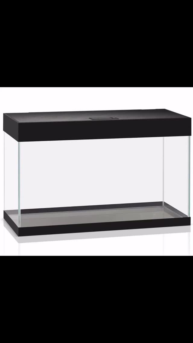 ? Acuario AquaEL Opti Set 125 — Negro, sin mesa, con iluminación
El AquaEL Opti Set 125 en color negro, sin mesa, combina la elegancia del cristal óptico extra claro de 6 mm con un sistema de iluminación LED de alta eficiencia, ideal para acuarios plantados, comunitarios o proyectos de aquascaping.
Este modelo está pensado para quienes ya disponen de un soporte o desean personalizar la base de su acuario, manteniendo toda la calidad y estética premium de la gama Opti Set.
⸻
? Beneficios y características
? Cristal óptico extra claro (6 mm) — Colores reales y visibilidad impecable.
? Diseño sin marcos — Uniones de silicona transparente para estética limpia.
? Iluminación LED eficiente — Potente y apta para plantas acuáticas.
? Incluye urna e iluminación — Monta sobre tu propia mesa o mueble.
? Envío asegurado contra roturas y daños — Embalaje y transporte profesional.
⸻
? Especificaciones técnicas
• Marca: AquaEL
• Modelo: Opti Set 125 (sin mesa)
• Color: Negro
• Medidas urna: 80×35×50 cm
• Capacidad: 125 litros
• Cristal: Óptico extra claro de 6 mm
• Iluminación: LED moderna, apta para acuarios plantados
• Incluye: Urna y sistema de iluminación
⸻
? Disponible en Aquasalvaje
? Tienda física y online
? www.aquasalvaje.com
? Asesoría profesional para montaje y equipamiento
? Envío con seguro de roturas y daños incluido
#Acuarios #Aquascaping #Acuariofilia #AcuarioPlantado #AcuariosDeAguaDulce #AcuariosBonitos #Peces #VidaAcuatica #FishTank #aquariumlife
AcuariosOpticos #CristalOptico #OptiSet #AquaEL #AcuariosDeDiseño #AcuariosPremium #AcuarioSeguro #AquascapeDesign #AcuariosConEstilo #AcuarioAltaGama
AcuariosMadrid #AquascapingMadrid #AcuariofiliaMadrid #TiendaDeAcuarios #TiendaDePeces #AcuariosEspaña #AquascapingEspaña #acuariosencasa