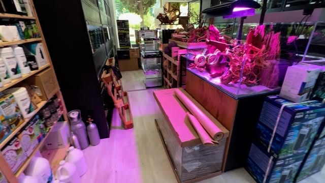 ?✨ ¡Así se vive en Aquasalvaje!
Cada día preparando pedidos con cariño para que tus acuarios brillen como nunca ??
? Gracias por confiar en nosotros y hacer que esta torre de pedidos siga creciendo ?
? Productos TOP y asesoría de expertos a tu alcance.
? aquasalvaje.com | ? Tienda física y online
#Aquasalvaje #Acuarios #Aquascaping #Pedidos #AquaristasUnidos #Acuariofilia #AcuarioPlantado #FishTank #NatureAquarium #AquascapeArt #Plantados #AquaticPlants #AquascapingWorld #AquariumLife #AquariumHobby #PecesTropicales #FiltroAcuario #AquariumLovers #AcuarioMadrid #aquascapinginspiration