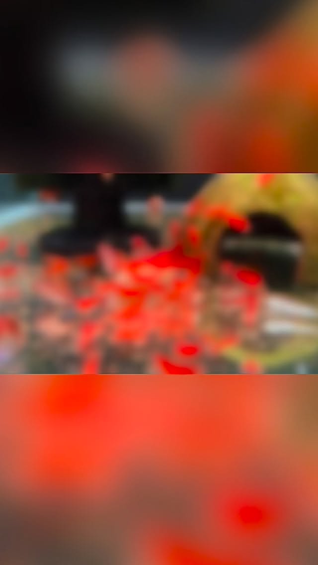 ?✨ ¡Descubre nuestra increíble colección de gambas para acuario!
Tanto si te encantan las neocaridinas por su resistencia y colores vibrantes ?, como si buscas la elegancia y delicadeza de las caridinas ?, aquí encontrarás tu favorita.
? Ven a conocerlas en persona o resérvalas online.
? Disponibles en www.Aquasalvaje.com
#GambasDeAcuario #Neocaridina #Caridina #ShrimpTank #ShrimpLove #Aquascaping #Acuariofilia #AcuarioPlantado #Aquascape #ShrimpAddict #ShrimpLife #NatureAquarium #AquariumHobby #AquariumShrimp #Invertebrados #Acuarios #Gambario #ShrimpTankSetup #AcuariosMadrid #Aquasalvaje