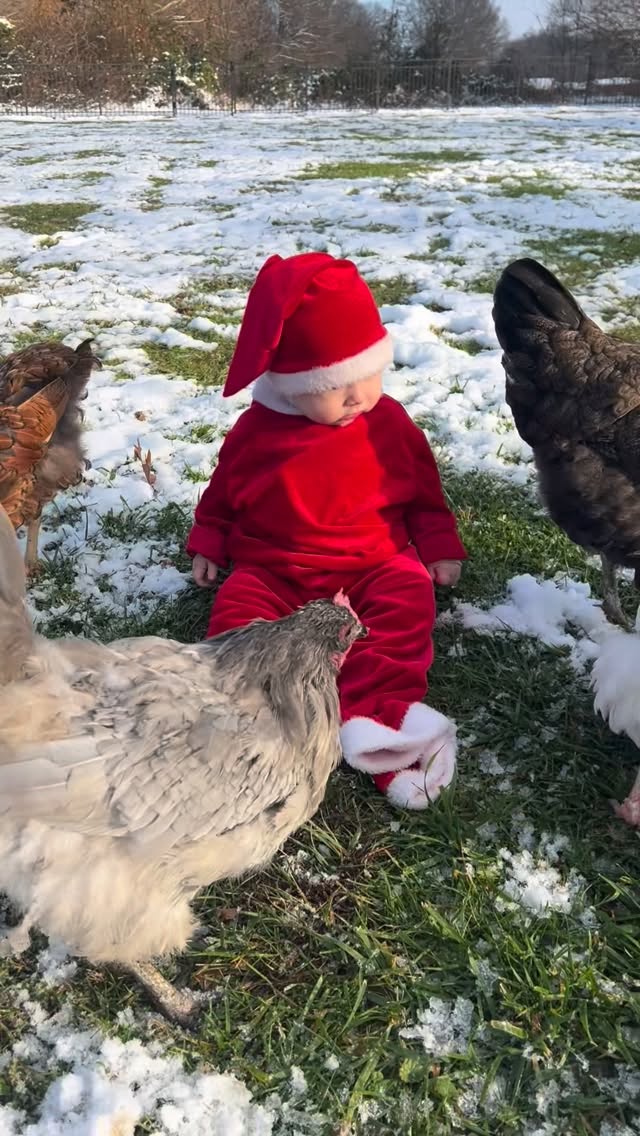 Keep posting your Elf in the Shelf ideas so I can keep recreating them with my baby ???