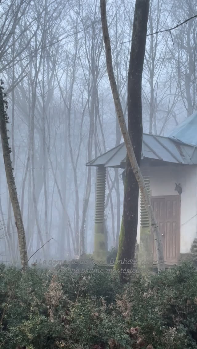 Le domaine de Rosa Bonheur plongé dans une brume mystérieuse …
Rosa aimait particulièrement ce temps brumeux, poétique et mystérieux à la fois.
En habitant au cœur de la forêt, elle a été témoin de tous ses aspects.
Nous sommes si heureux de pouvoir à notre tour, observer cette nature si mouvante, celle-là même que Rosa Bonheur contemplait.
Et si c’était votre tour ?
#rosabonheur #parc #jardin #brume #visite