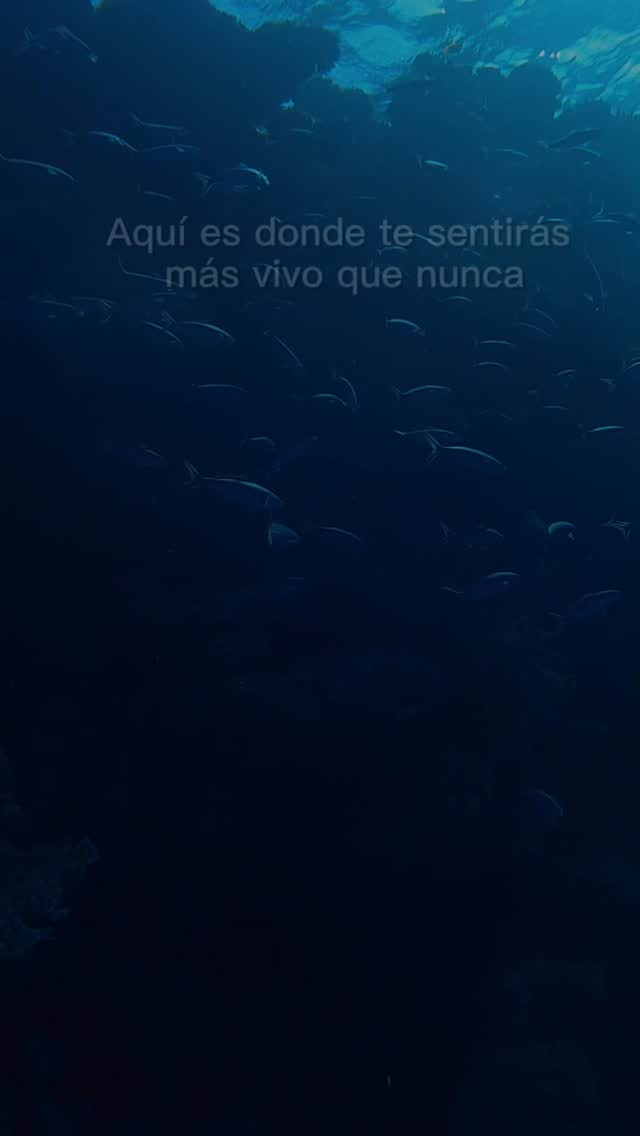 Si buceas lo sabes ?