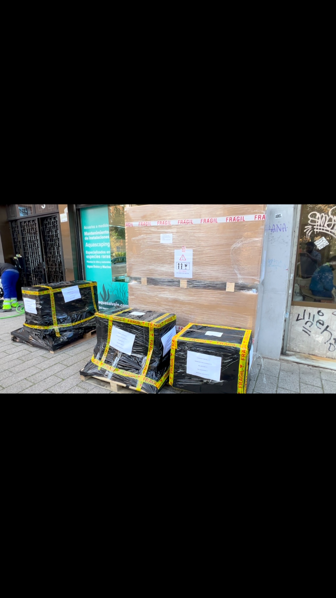 Día tras día y mes tras mes sois cada vez más aficionados quienes confían en nosotros, solo podemos daros las gracias por vuestra total confianza. Vamos a cumplir 2 años desde que abrimos, y sabemos que tenemos que mejorar muchas cosas, queremos ser muy exigentes con nosotros mismos y no nos conformamos con lo que tenemos y ofrecemos hoy en día, por lo que cada día trabajamos para ser vuestra mejor opción.
Y sin dudarlo, todo es gracias a tod@s l@s aficionad@s que confiáis cada día en nosotros.
GRACIAS❤️
〰️〰️〰️〰️〰️〰️〰️〰️〰️〰️
#aquasalvaje #aquarium #madrid #alcorcon #aquascaping #aquascape #aquariumdesign #acuarioplantado #aquariumhobby #aquascaper #acuario #acuarios #acuariosplantados #acuariobiotopo #biotopo