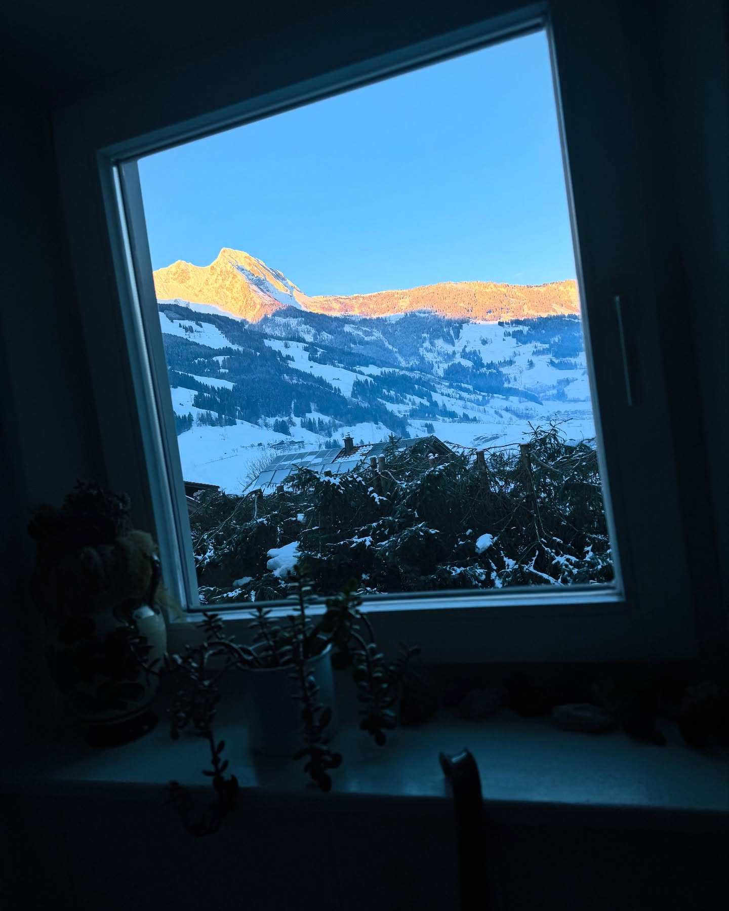 Traumtagalarm im Chalet Franzi! #twistenaufdenpisten #skiurlaub #chaletfranzi #dorfgastein #visitgastein #dorfgasteinerbergbahnen #imchaletisschee