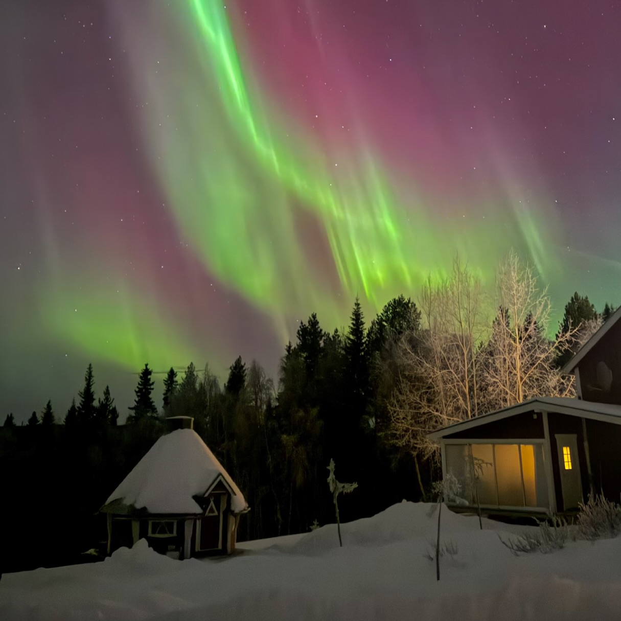 Did you know that the colors of the Northern Lights vary based on the type of gas involved? Oxygen creates green or red hues, while nitrogen produces blue or purple!🌟🌲
Seeing this celestial wonder is truly a once-in-a-lifetime experience!
📍Storberg Fjällgård, Lapland
#NorthernLights #AuroraBorealis #NatureWonder #Stargazing #Sweden #Nordlichter
