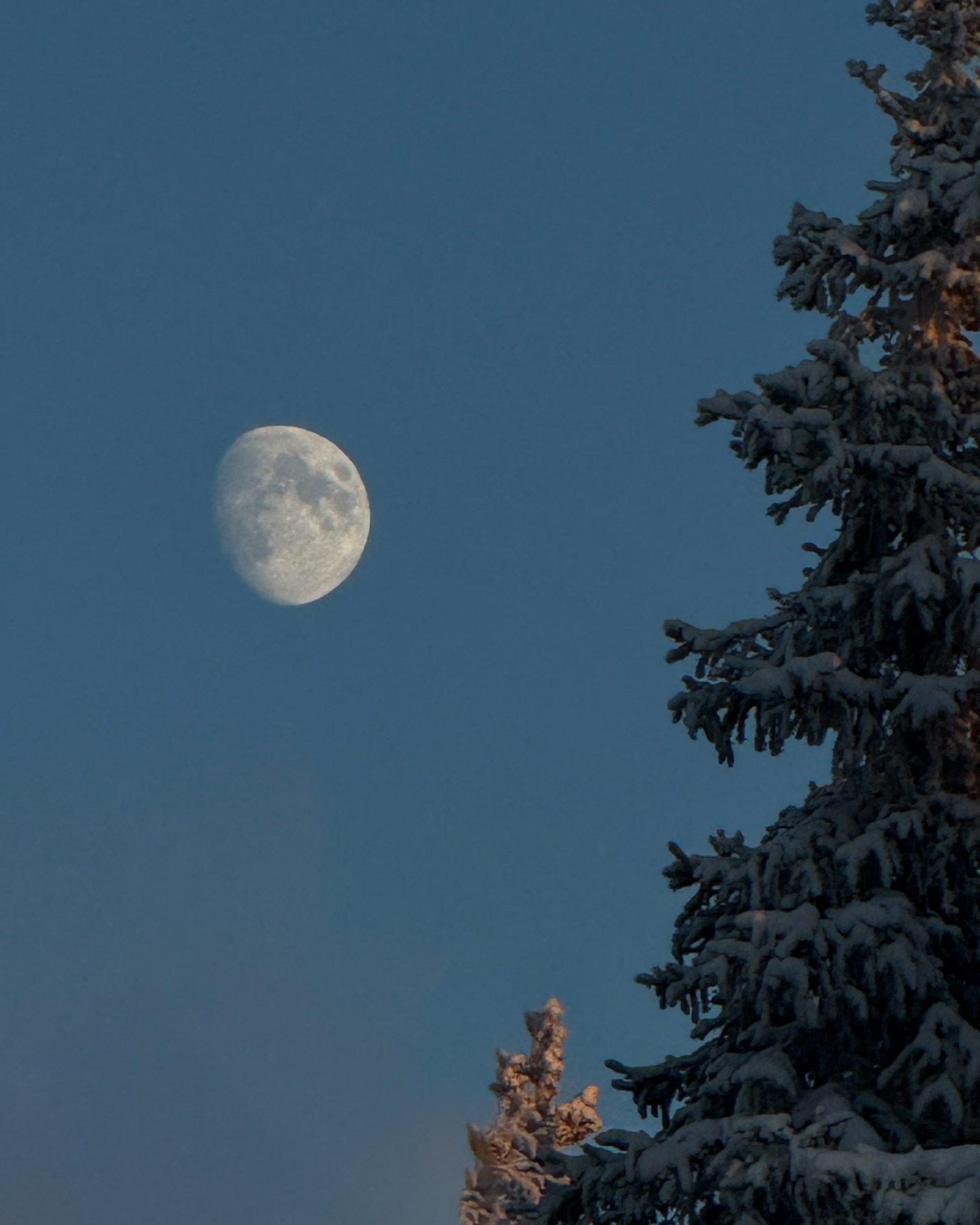 The moon lighting up Lapland’s Arctic nights and frozen landscapes ❄️🌙
📍Storberg Fjällgård
#Winter #Lapland #Moon #Arctic #Lappland #Polarkreis