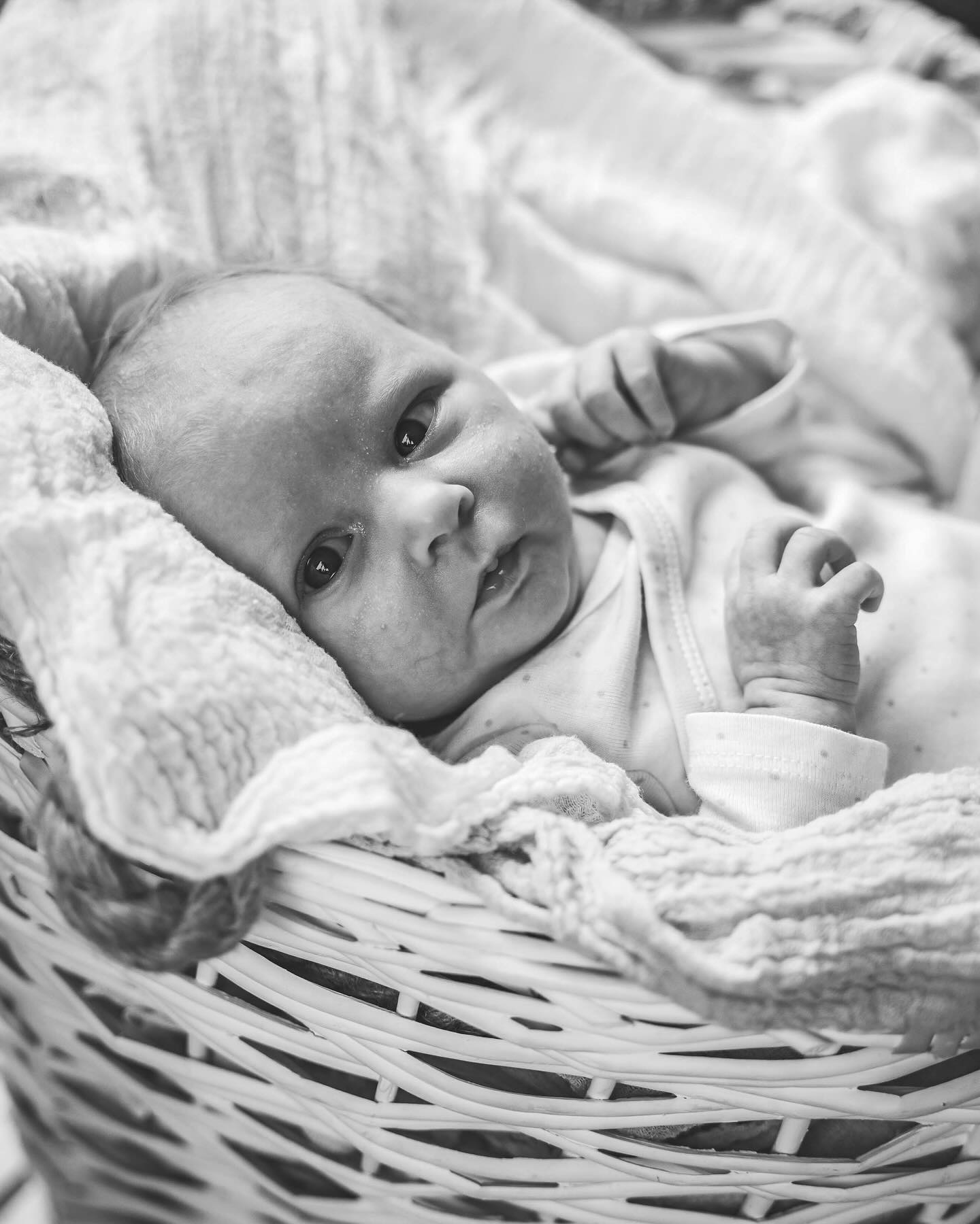 Guten Morgen Welt!
#newborn #newbornphotography #newbornbaby #fotoshooting #fotografie #fotografin #eifel #vulkaneifel #nordeifel #erinnerungen #momentedesglΓΌcks #fΓΌrdieewigkeit #liebe