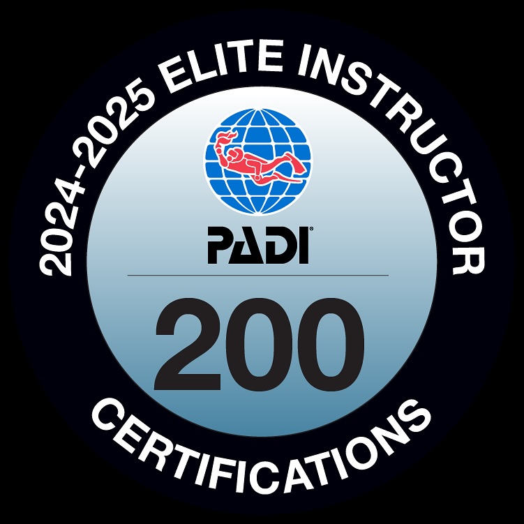 ? ¡PADI Elite Instructor! ?
Esto es la prueba de que enseñar a bucear es lo mejor que hay. Es el reflejo de cada persona que confió en Open Water Madrid (y en mí).
Cientos de ojos como platos al quitarse la máscara, cientos de veces repitiendo “respira normal” y cientos de nuevos buceadores descubriendo que el azul engancha.
Gracias a todos los que habéis formado parte de este camino. Ahora, ¿vamos a por más? ??
#PADI #EliteInstructor #OpenWaterMadrid #BuceoMadrid #BuceoEspaña #ScubaDiver #ScubaLife #Bucear #DiveInstructor #ScubaGirls #amorporelmar #explorer #oceanlover