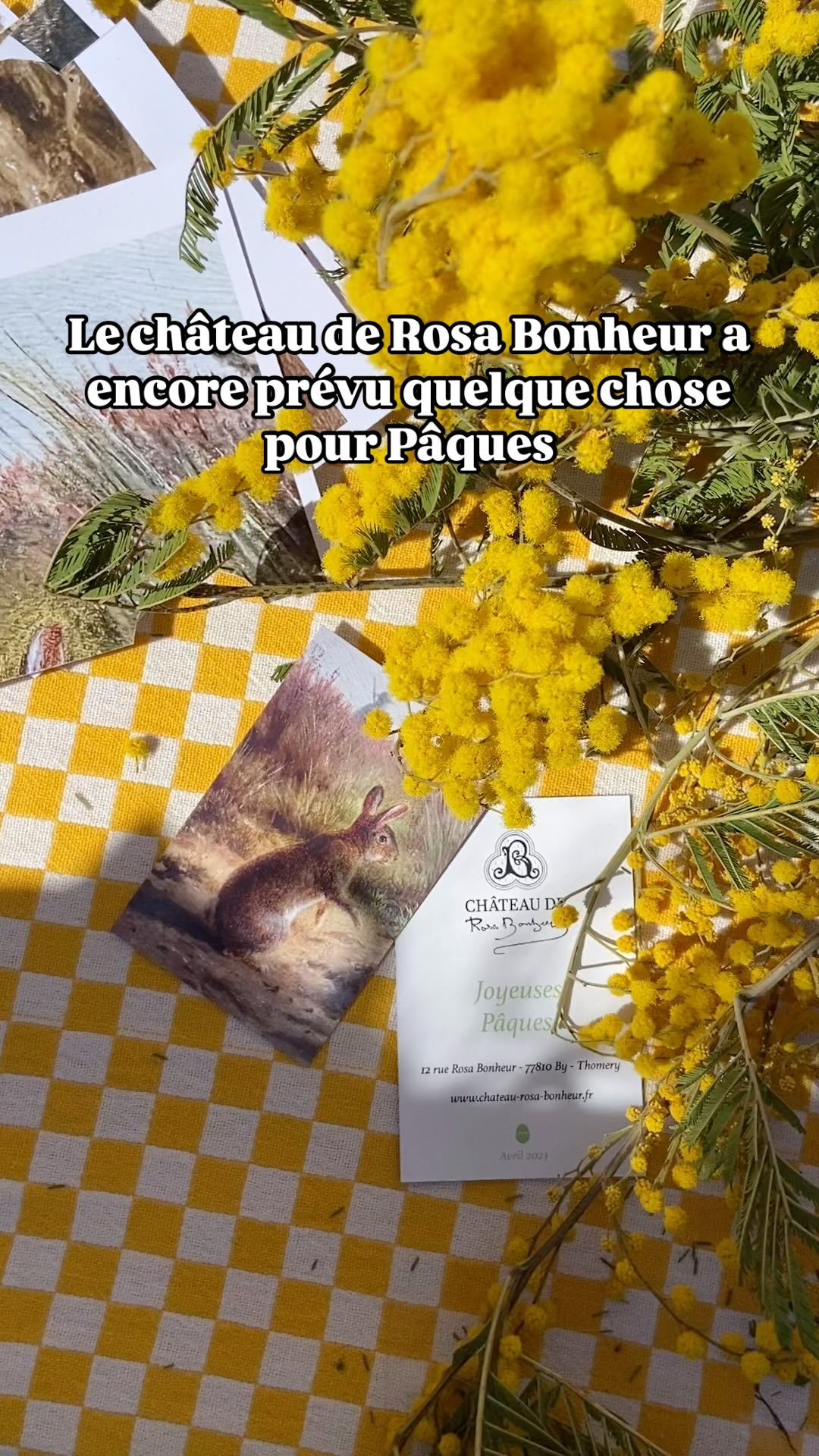 ? #paques au château de Rosa Bonheur
Les chevaux sauvages de Rosa Bonheur se sont échappés… À vos marques, petits explorateurs ! Partez à leur recherche dans le parc du château, entre nature et imagination ?
Ils se cachent derrière les lieux emblématiques : l’atelier champêtre de l’artiste, la cabane des biches, les arbres centenaires… Un jeu de piste plein de surprises et de poésie. Et à l’arrivée ? Des chocolats bien mérités ??
Une façon originale et ludique de découvrir le parc, parfaite après une visite du château.
? Samedi 19 et dimanche 20 avril à 15h
#ChâteauDeRosaBonheur #PâquesAuChâteau #ChasseAuxChevaux #ChasseAuxŒufs #SortieEnFamille #RosaBonheur #ArtEtNature #PatrimoineVivant