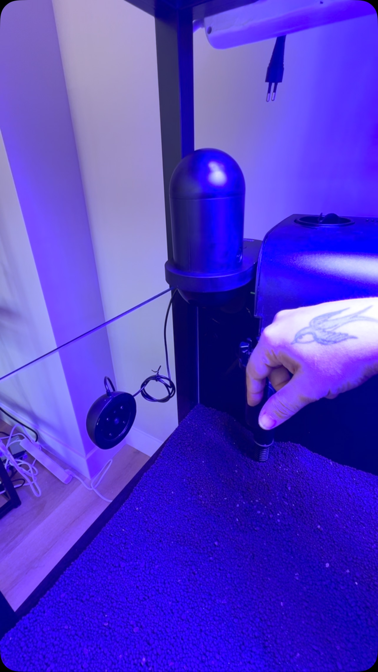 Proyecto de 13 Acuarios con equipamiento TOP????
〰️〰️〰️〰️〰️〰️
? Plaza La Constitución 3, Alcorcón.
〰️〰️〰️〰️〰️〰️
? www.aquasalvaje.com.
〰️〰️〰️〰️〰️〰️
#aquasalvaje #aquarium #madrid #alcorcon #aquascaping #aquascape #aquariumdesign #acuarioplantado #aquariumhobby #aquascaper #nano #nanoaquascaping #nanoaquarium #alagoasbettashow #bettertogether #bettafish #bettas #betta #bettaworld #bettafishtank #bettasplendens #bettaindonesia