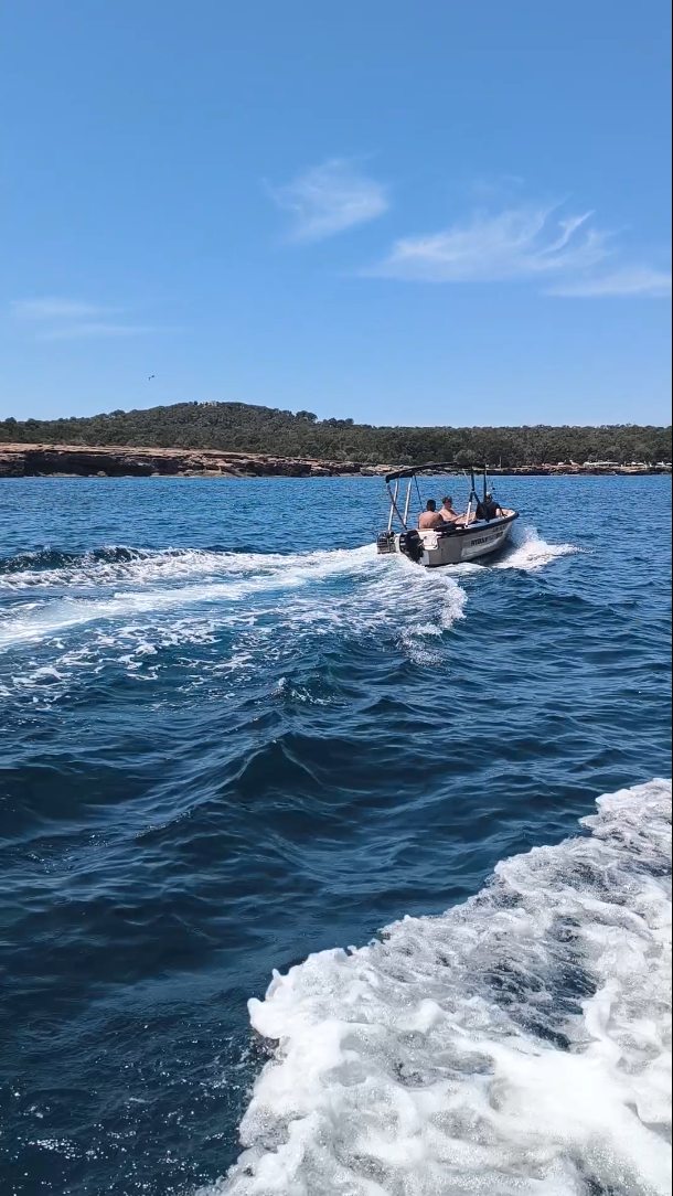 De camino a CALA BASSA...¡Todo va viento en popa! Que no falte de naaa.
? ¡Cala Bassa! Nos encanta tu naturaleza y la atmósfera relajada que regalas, es tan apetecible ir.
?️ El agua azul turquesa, el agradable tacto de la arena y tu hábitat rodeado de pinos hace que Ibiza destaque por sus playas paradisíacas.
? Da igual por donde te miremos, sabemos que eres uno de los mejores lugares para visitar y disfrutar como toca.
? Conoce Cala Bassa con nosotros o vuelve a visitarla para revivir el momento.
? ¡GRACIAS chicos, un placer siempre.
___________________________________
? On the way to CALA BASSA...Everything is going perfect! Don't miss anything.
? Cala Bassa! We love your nature and the relaxed atmosphere you give, it is very attractive to go.
?️ The turquoise blue water, the touch of the sand and your habitat surrounded by pine trees make Ibiza stand out for its paradisiacal beaches.
? No matter where we look at you, we know that you are one of the best places to visit and enjoy however
?Get to know Cala Bassa with us or visit it again to relive the moment.
? THANK YOU guys, it's always a pleasure.
#calabassa #ibizaboatservice #daydreamboatsibiza #ibiza #enjoyibizaboats #sunsetboatsiiza #boathireibiza #sunsetboatsibiza #enjoyibizaboats #boatrentalibiza #calacompte #explore #viveibiza#baleares #sealifestyle #sealifecameras #sealife #sealovers#islanders #ibizabeach #islasbaleares#eivissa#brutalibizaboats #experienciabrutal#seaventures #sailaway #summervive #waterscape #spainibiza #springcleaning#calaescondida