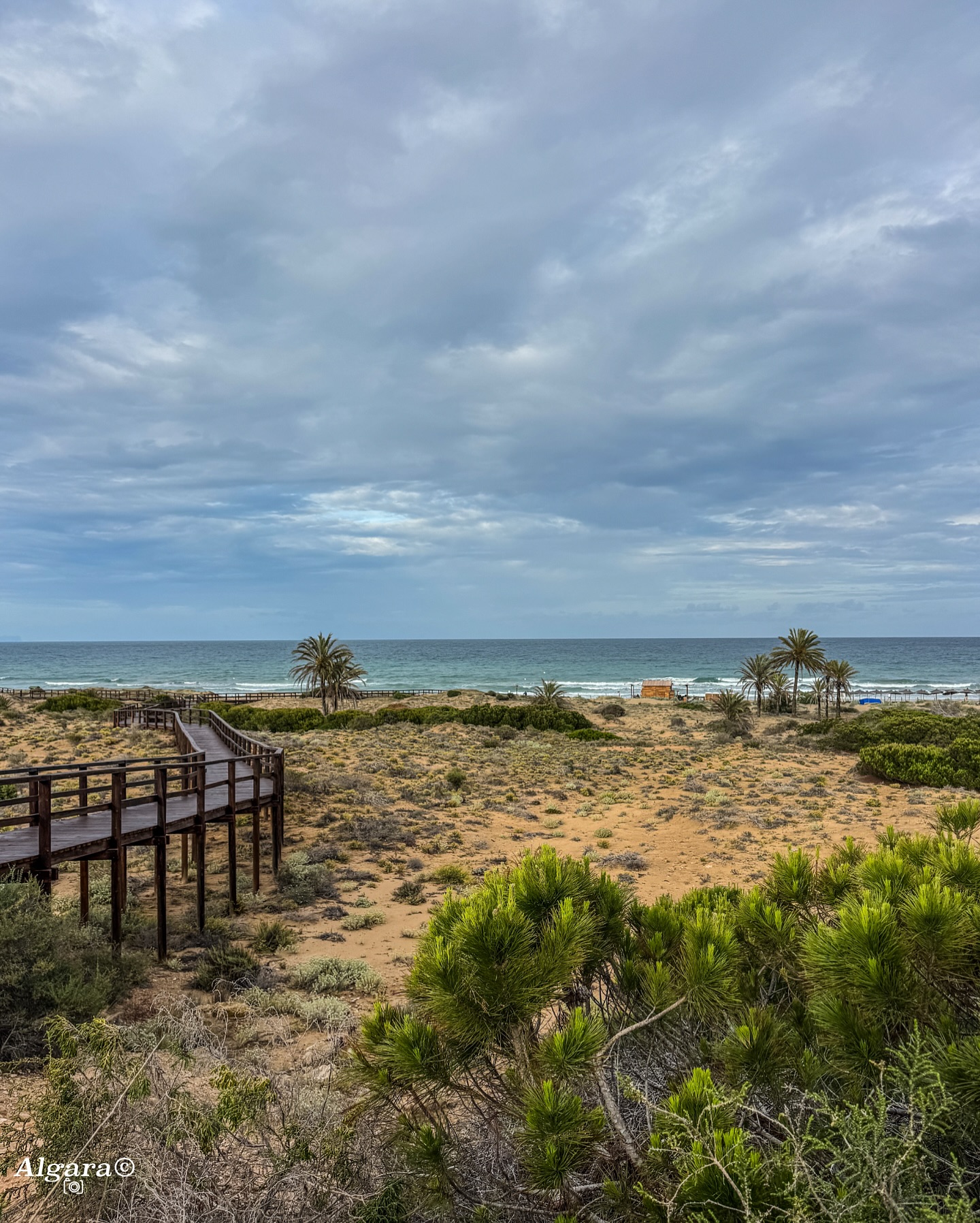 Lugares con encanto ✨
.
.
.
.
.
Desde Los Arenales del Sol
Fotografía: @algarafotografia
#alicante #elche #arenalesdelsol #photography #picoftheday #fotografia #naturaleza #foto #travel #photoshoot #algarafotografia #photographylovers #comunitatvalenciana #costablancaorg #total_mediterraneo #total_alicante #total_spain #recorreespaña #igerscomunitat #visitelche #comparteelche #españa #elchesolypalmeras