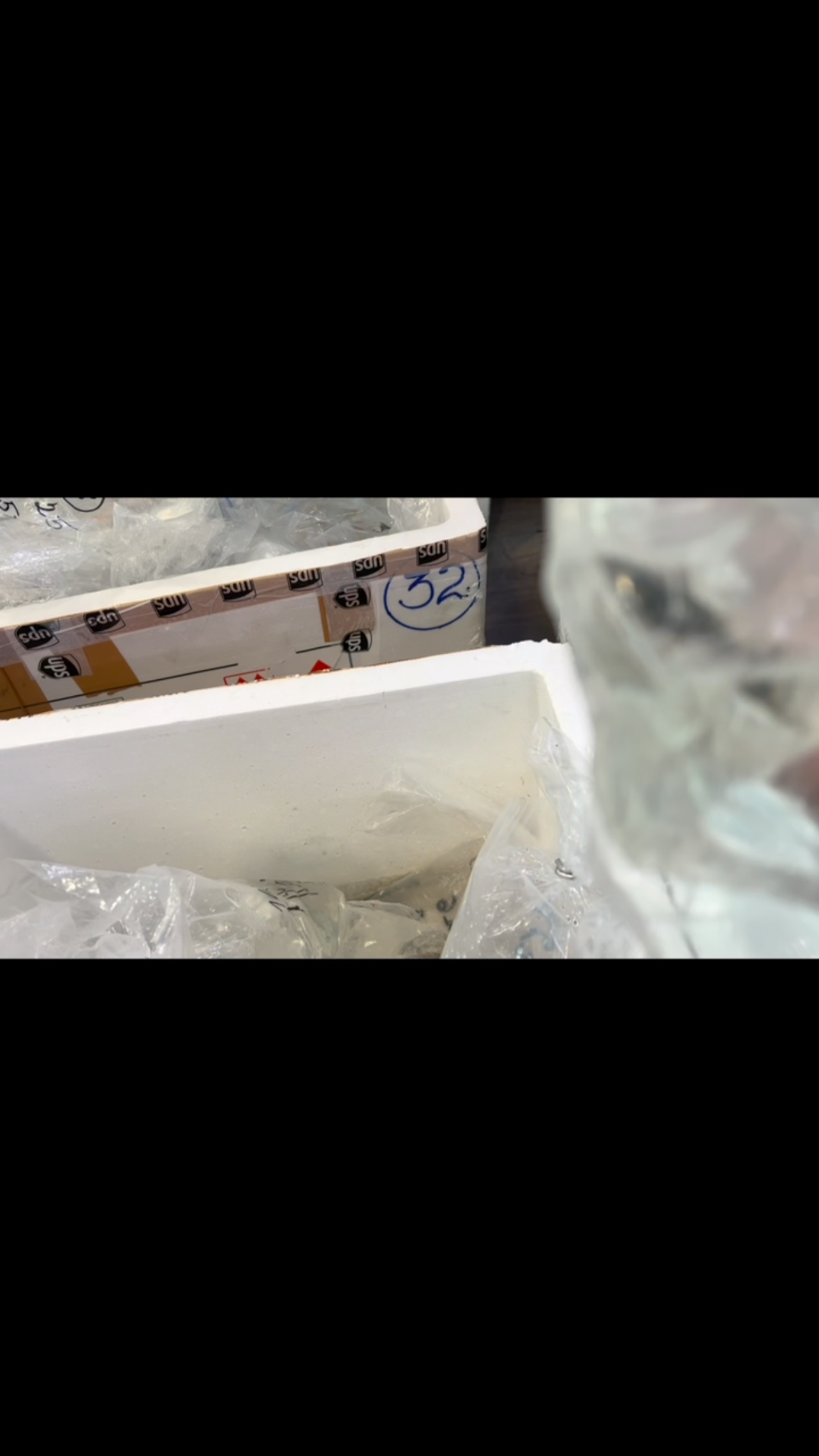 Bolsas, bolsas, bolsas y más bolsas… más de 1000 peces llegan esta semana a Aquasalvaje ???
〰️〰️〰️〰️〰️
✅ Trabajando duro para ser tu mejor opción.
〰️〰️〰️〰️〰️
? Plaza La Constitución 3, Alcorcón.
〰️〰️〰️〰️〰️
? www.aquasalvaje.com
〰️〰️〰️〰️〰️
#aquasalvaje #aquarium #madrid #alcorcon #aquascaping #aquascape #aquariumdesign #acuarioplantado #aquariumhobby #aquascaper #fish #fishtank #aquariumfish #aquariumfishtank #peces #pecestropicales #pecesdecolores #pecesdeacuario #acuario #acuariofilia #acuariofiliaespaña #acuariofiliamadrid #acuarioplantado #plantas #plantasacuario