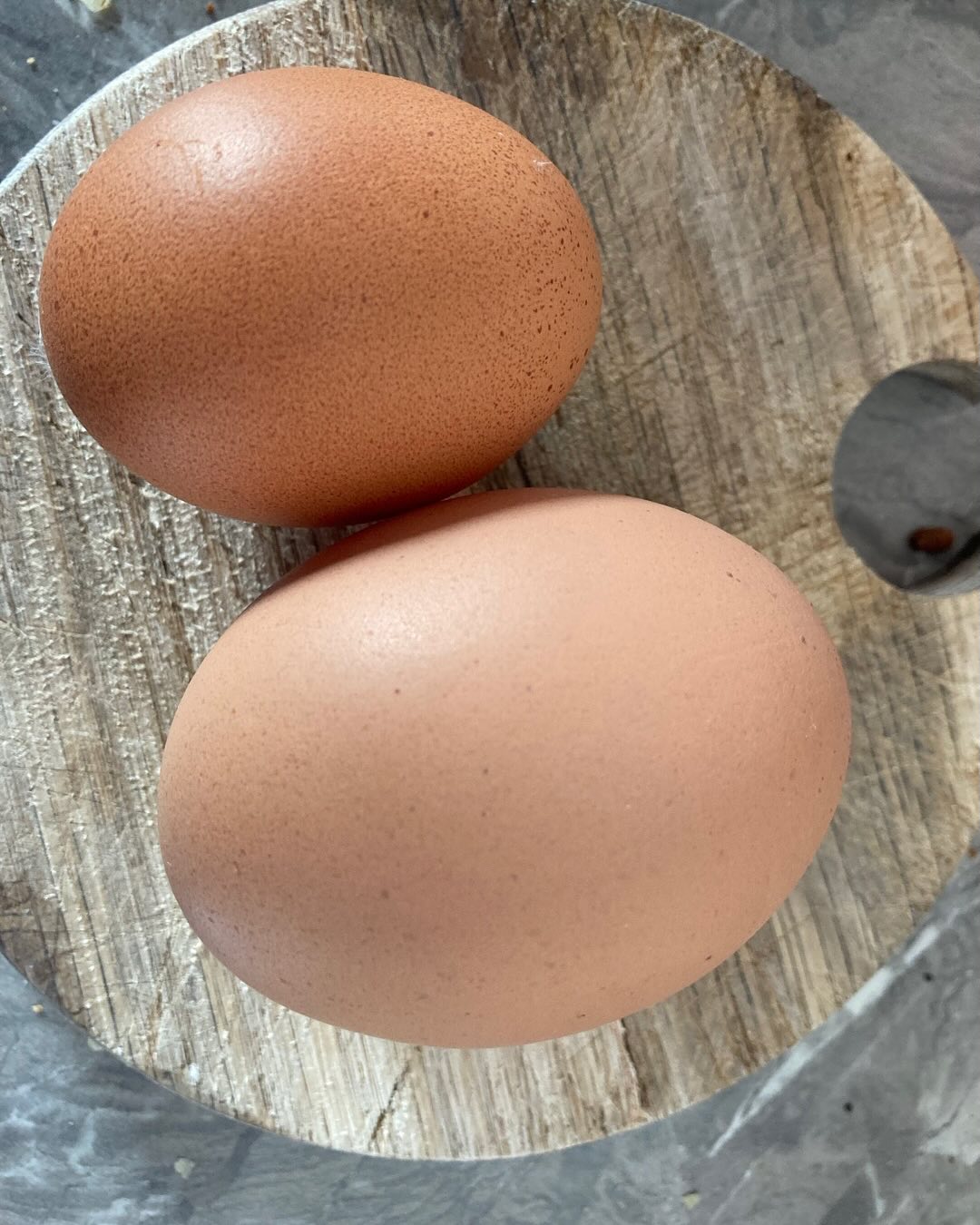 That is one massive mamma sized egg! No idea how that came out…
Find out more about our story at recoveringautism.com
#chickeneggs #gapscoach #gapsyndrome #gapsdiet #gapsnutritionalprotocol #recoveringautism #recoveryfromautism