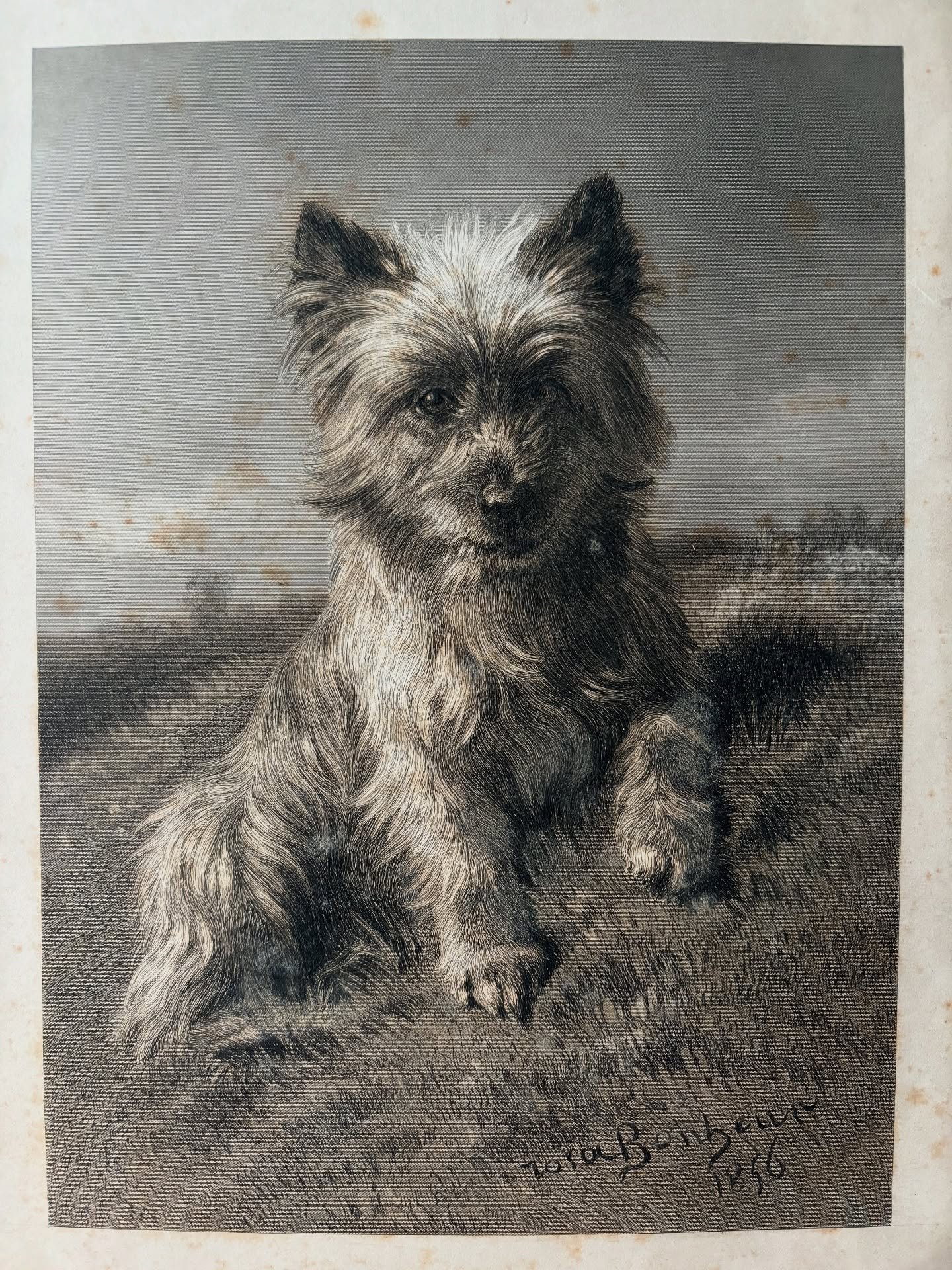 Portrait de Wasp, le Skye terrier écossais de Rosa Bonheur ?
Un petit chien très cher au cœur de Rosa Bonheur, qui a terminé ses jours au château. Après sa mort, Rosa n’a pas pu se résigner à s’en séparé, alors elle en fait une sépulture dans son parc…
Sa localisation demeure encore inconnue
#rosabonheur #museerosabonheur #chateaurosabonheur #skyeterrier #dogsinart #dogsinmuseums